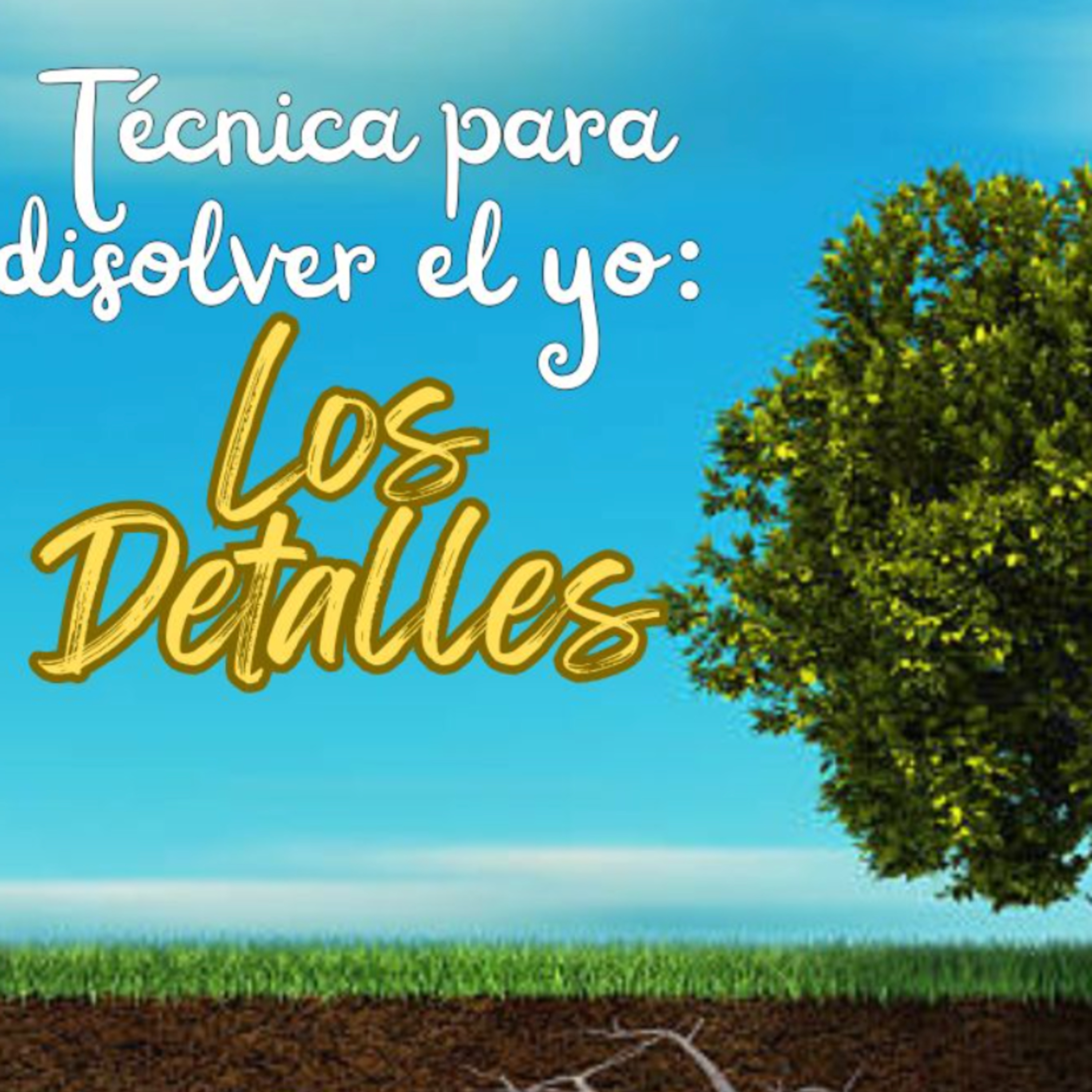 Técnica para disolver el Yo | Conferencia 27 - Conocimiento de sí mismo episode artwork