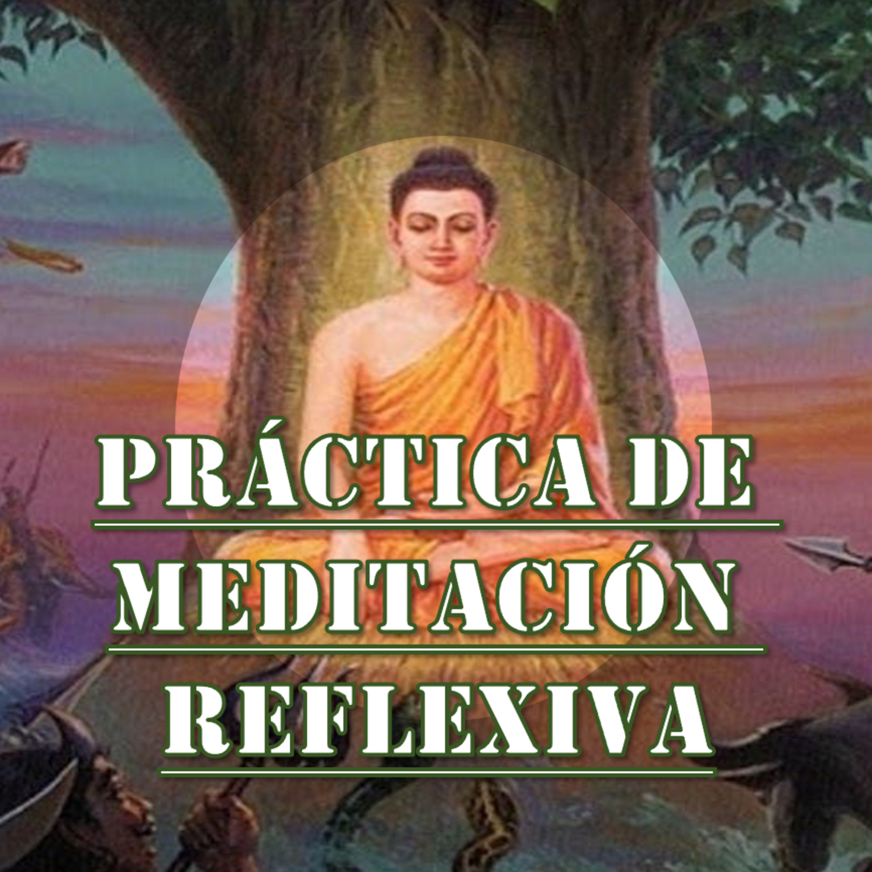Práctica de Meditación Reflexiva | Conferencia 2-B - Conocimiento de sí mismo episode artwork