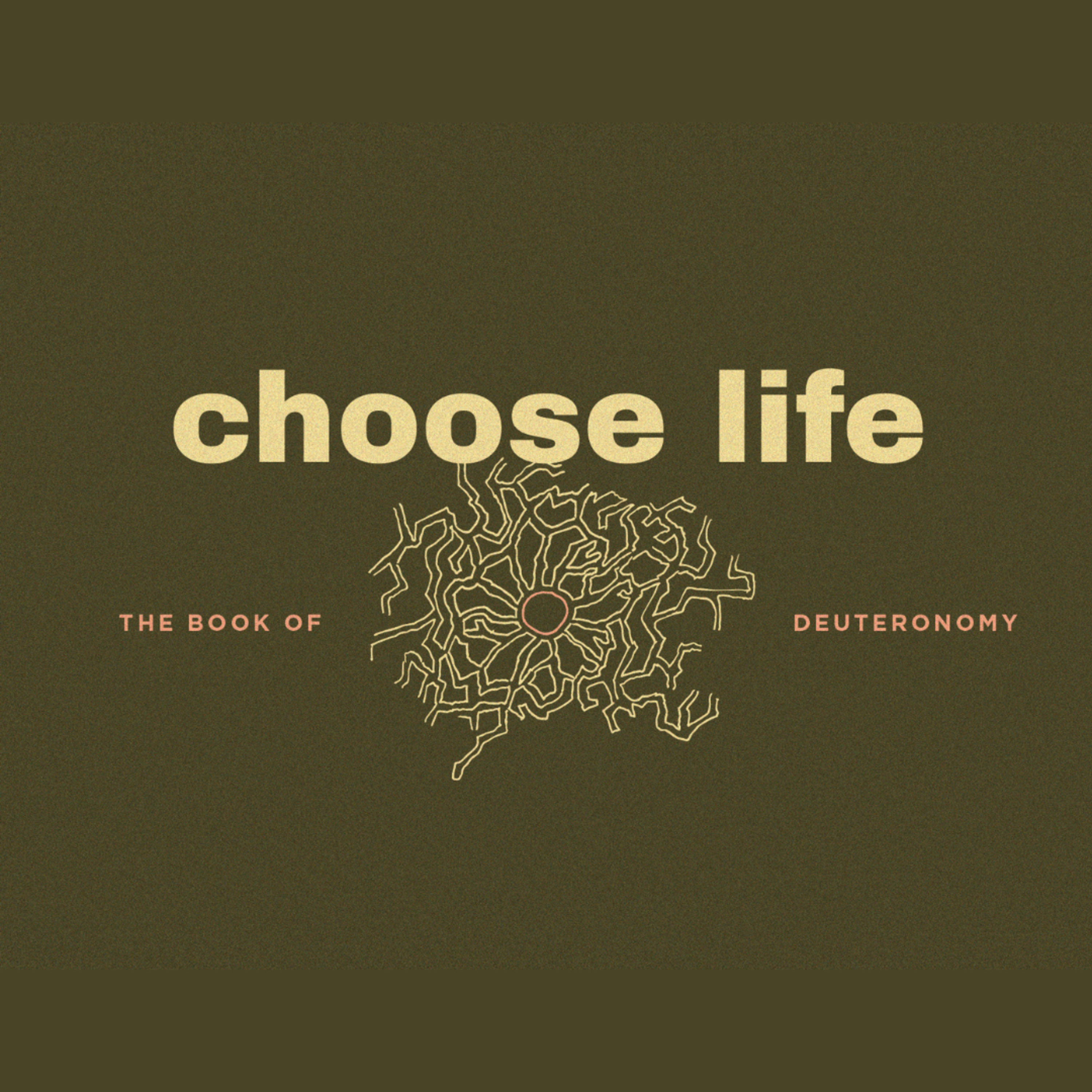 The Ten Commandments (Deuteronomy 5:1-22) episode artwork