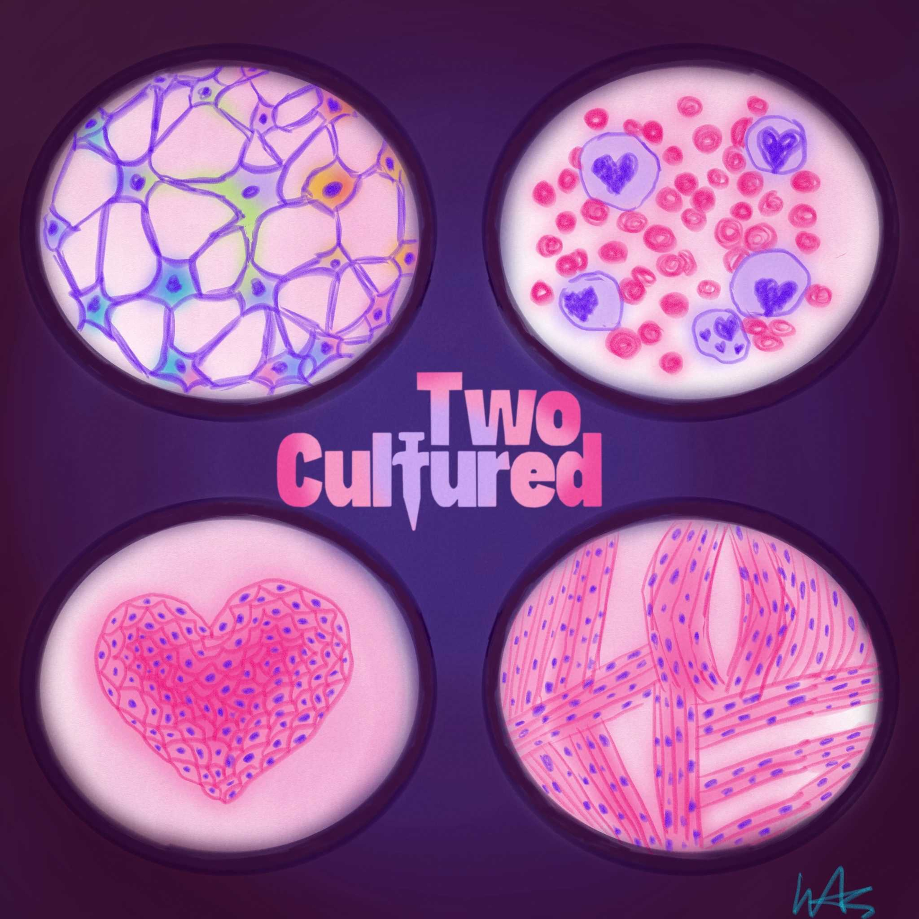 Science Without Borders: Deniz' Path from Istanbul to UNC episode artwork