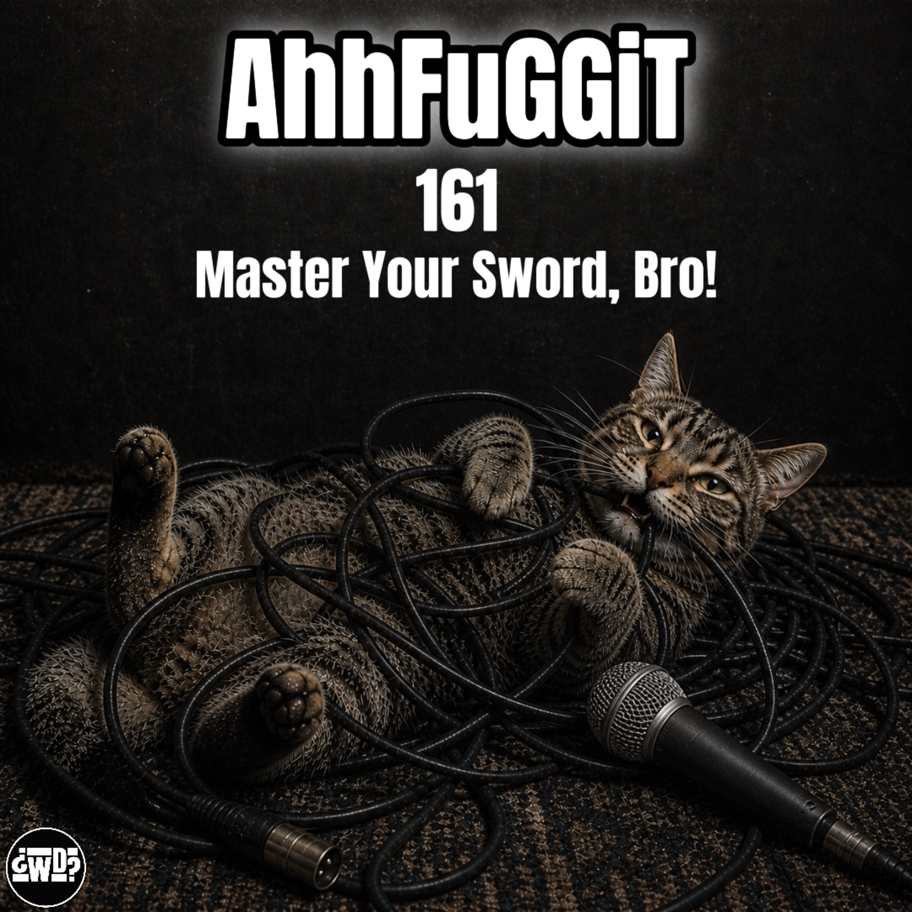 Master Your Sword, Bro | EP 161 episode artwork