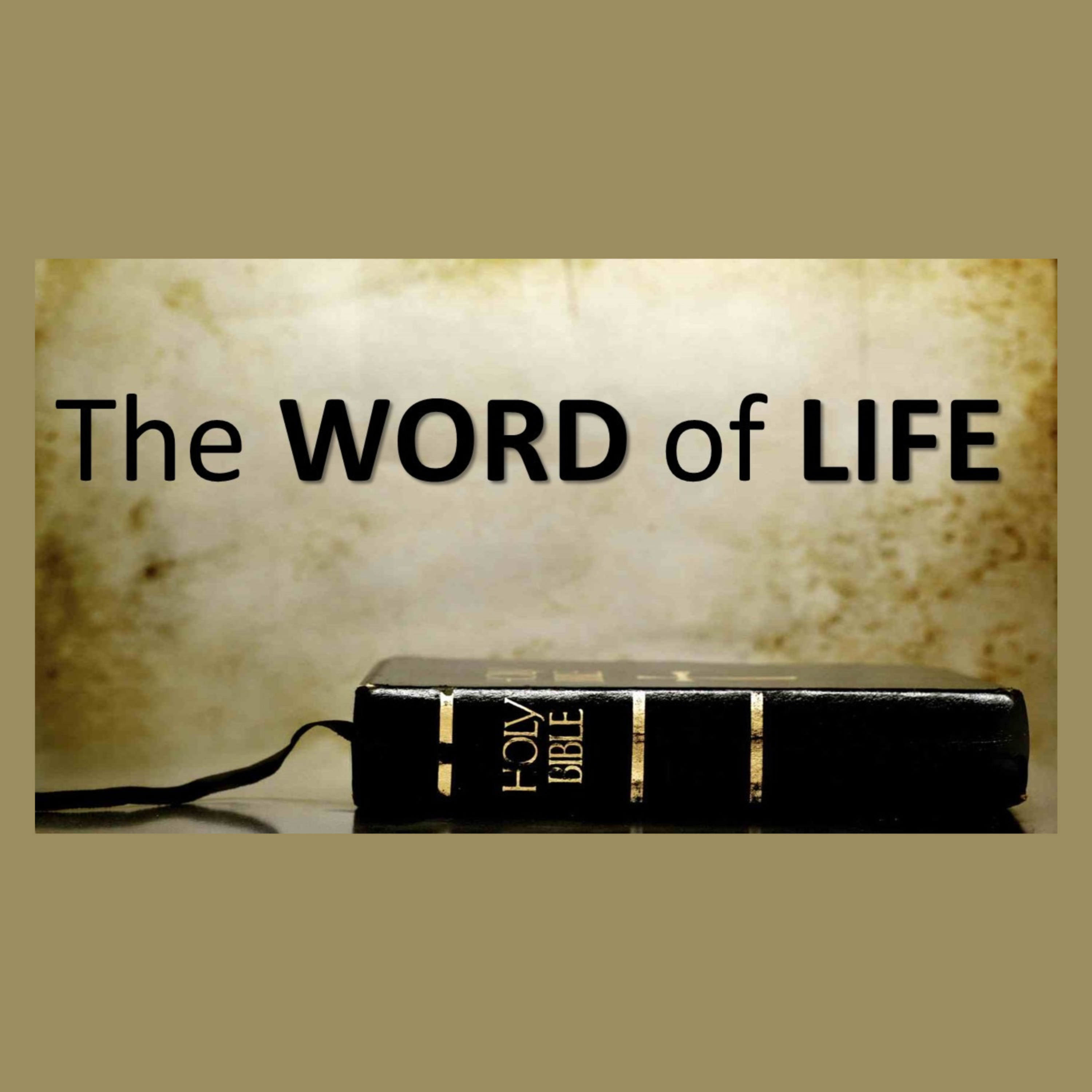 Studying The Word in Community - The Word of Life Series episode artwork