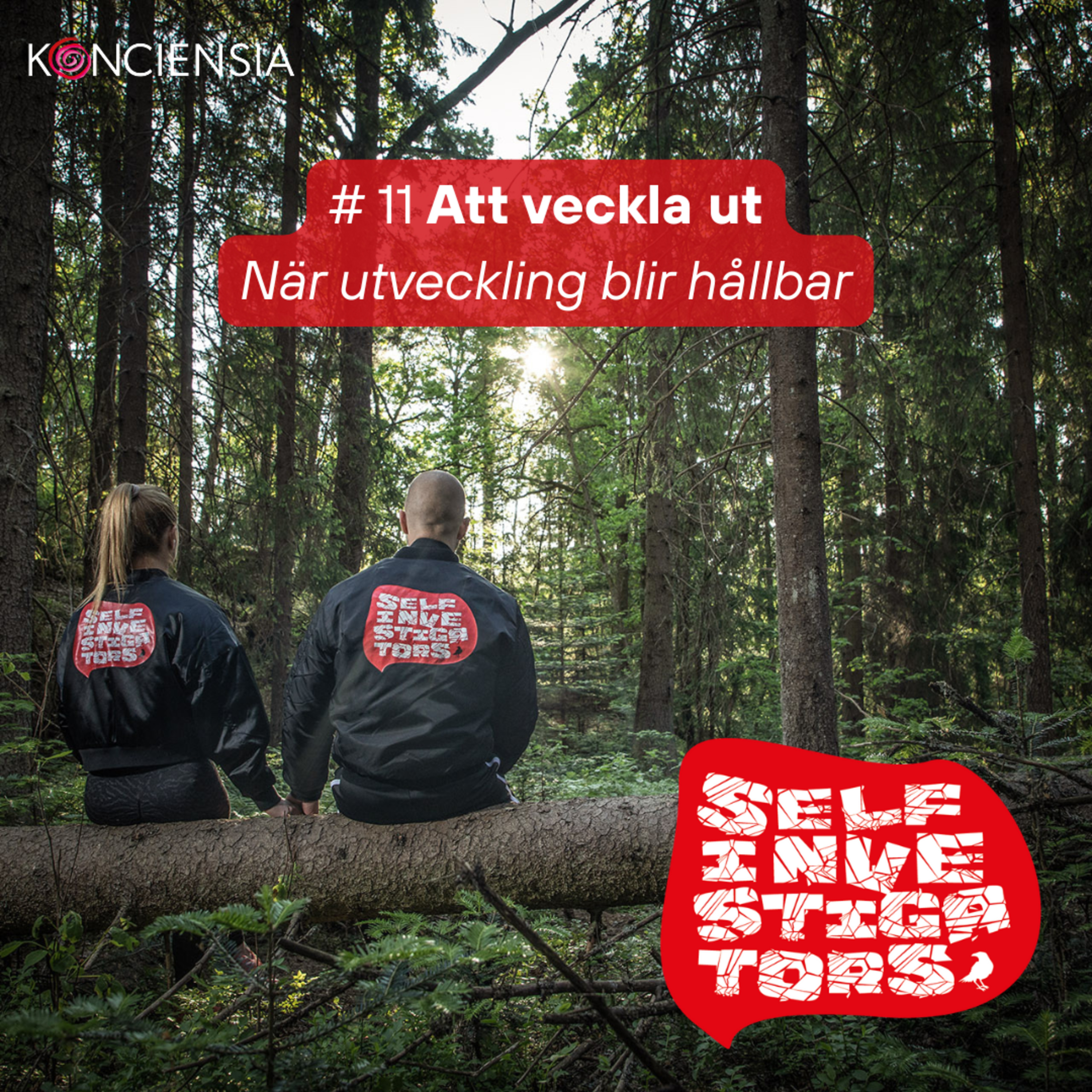 11. Att veckla ut - När utveckling blir hållbar episode artwork
