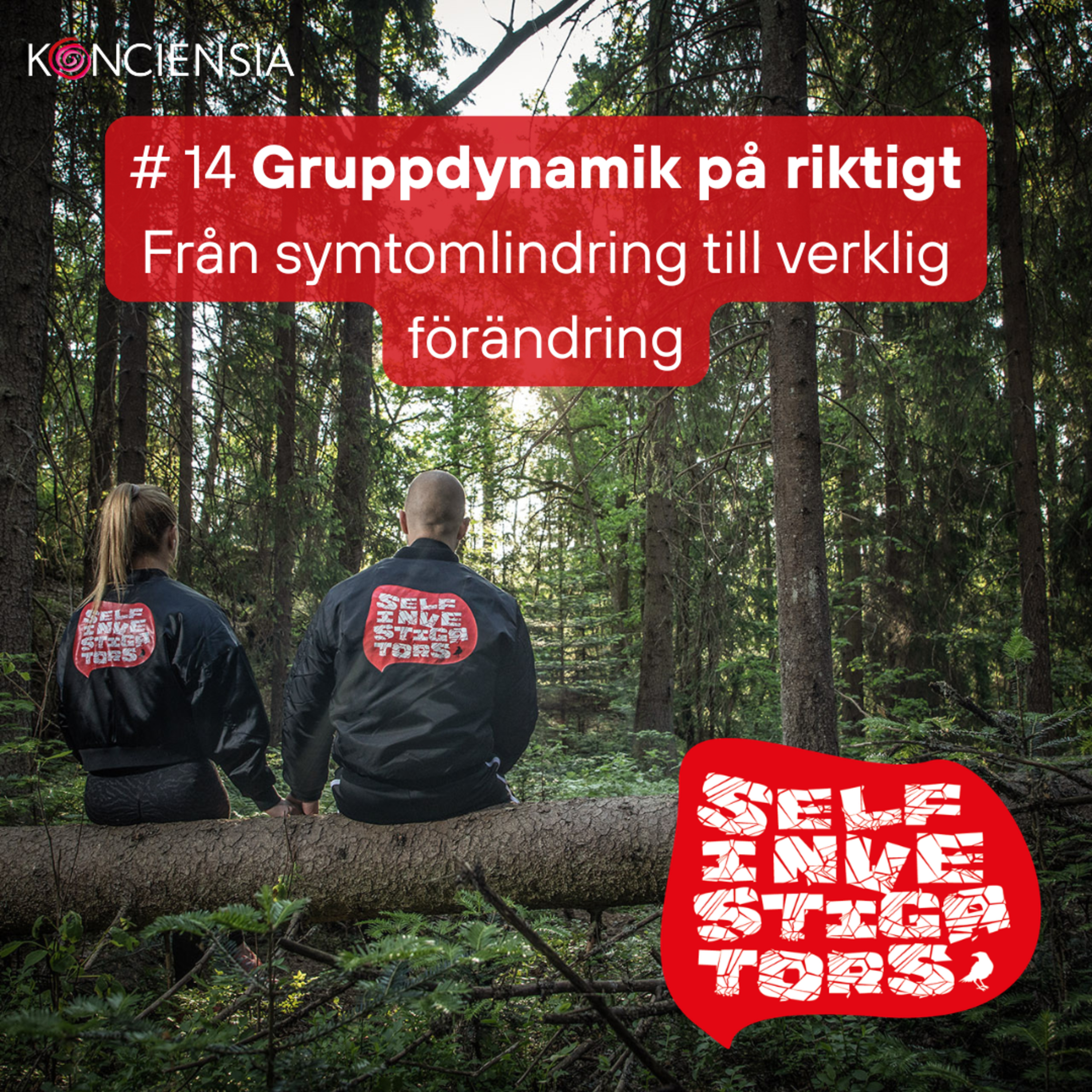 14. Gruppdynamik på riktigt: Från symtomlindring till verklig förändring episode artwork