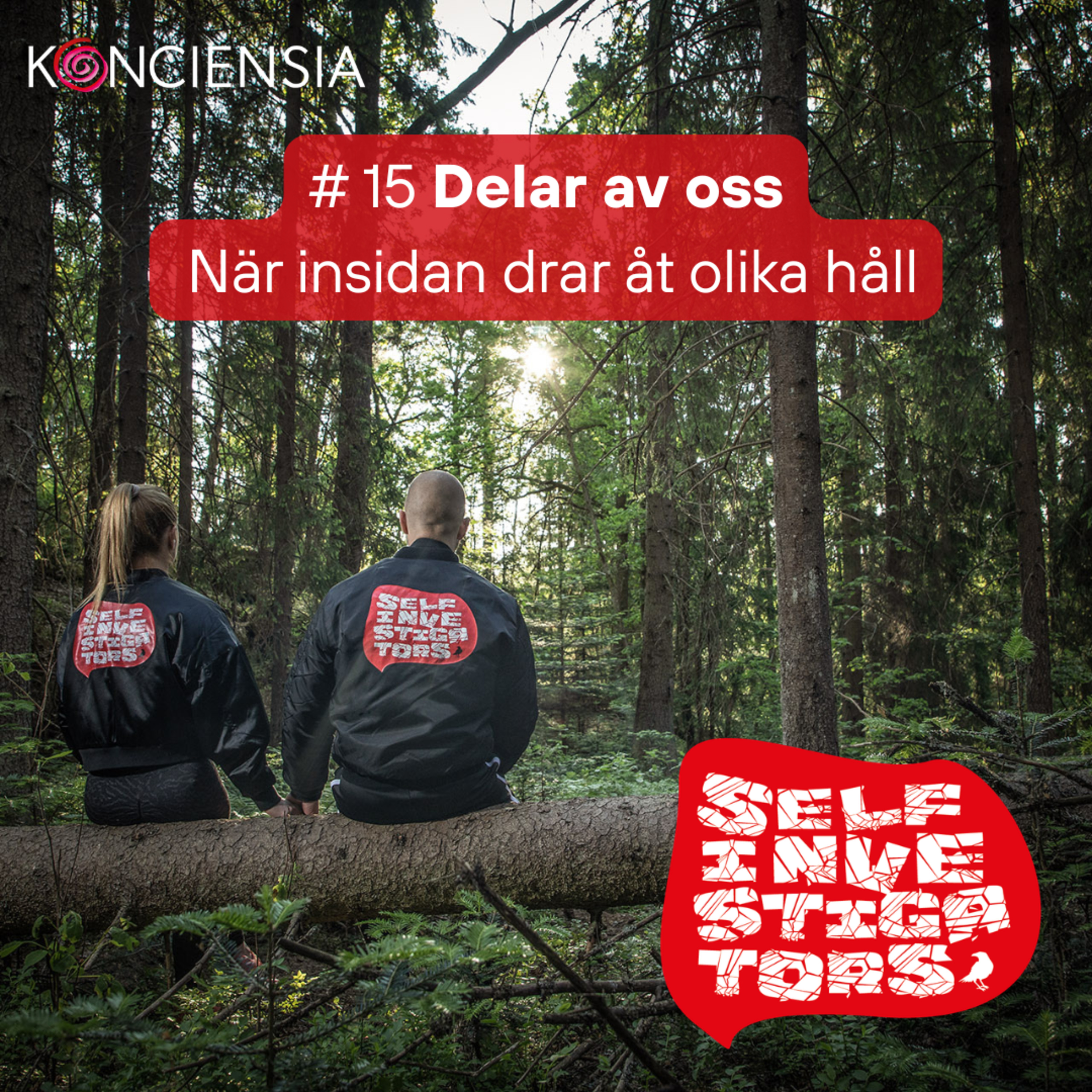 15. Delar av oss - När insidan drar åt olika håll episode artwork