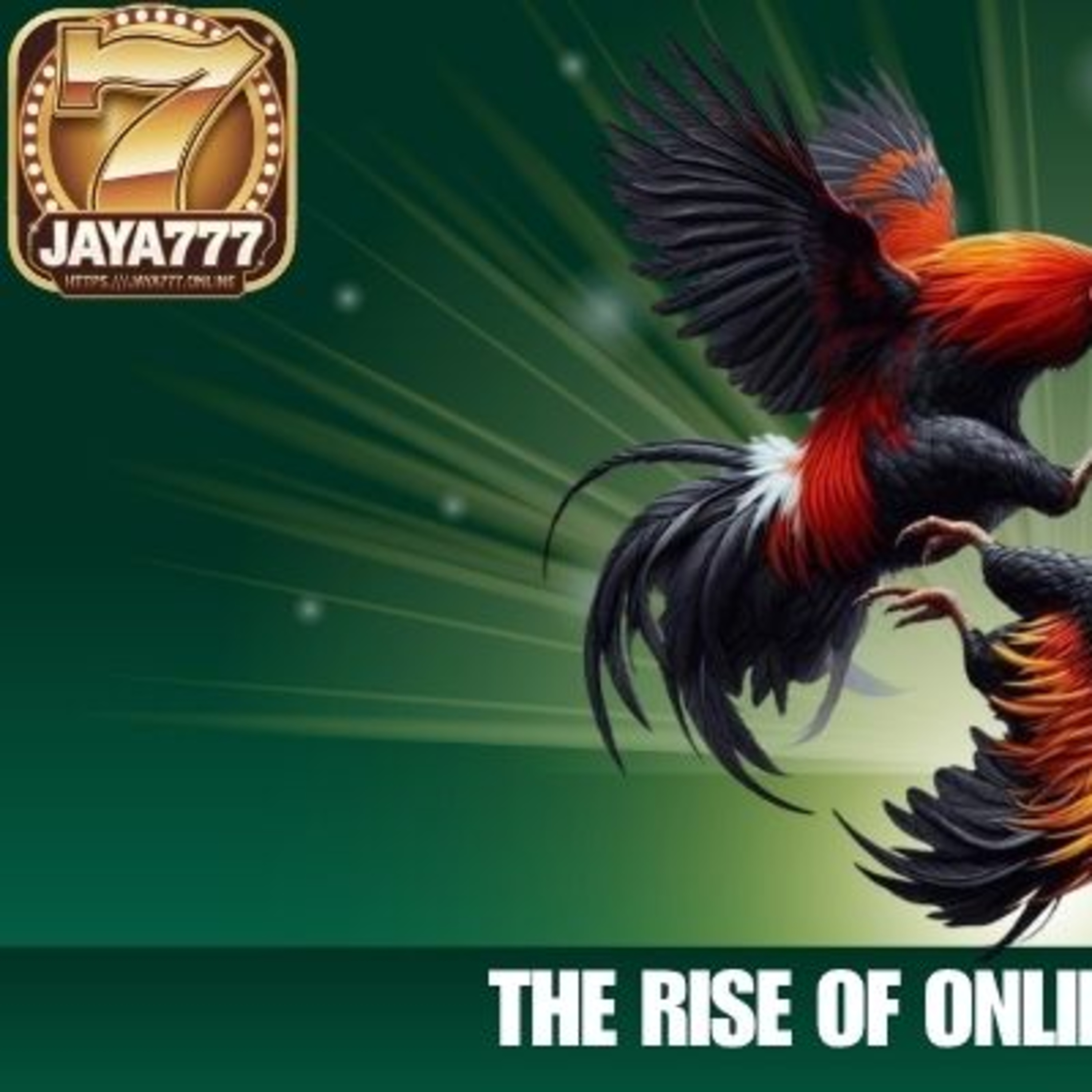 Cockfighting online – A New Way to Enjoy Betting Entertainment episode artwork