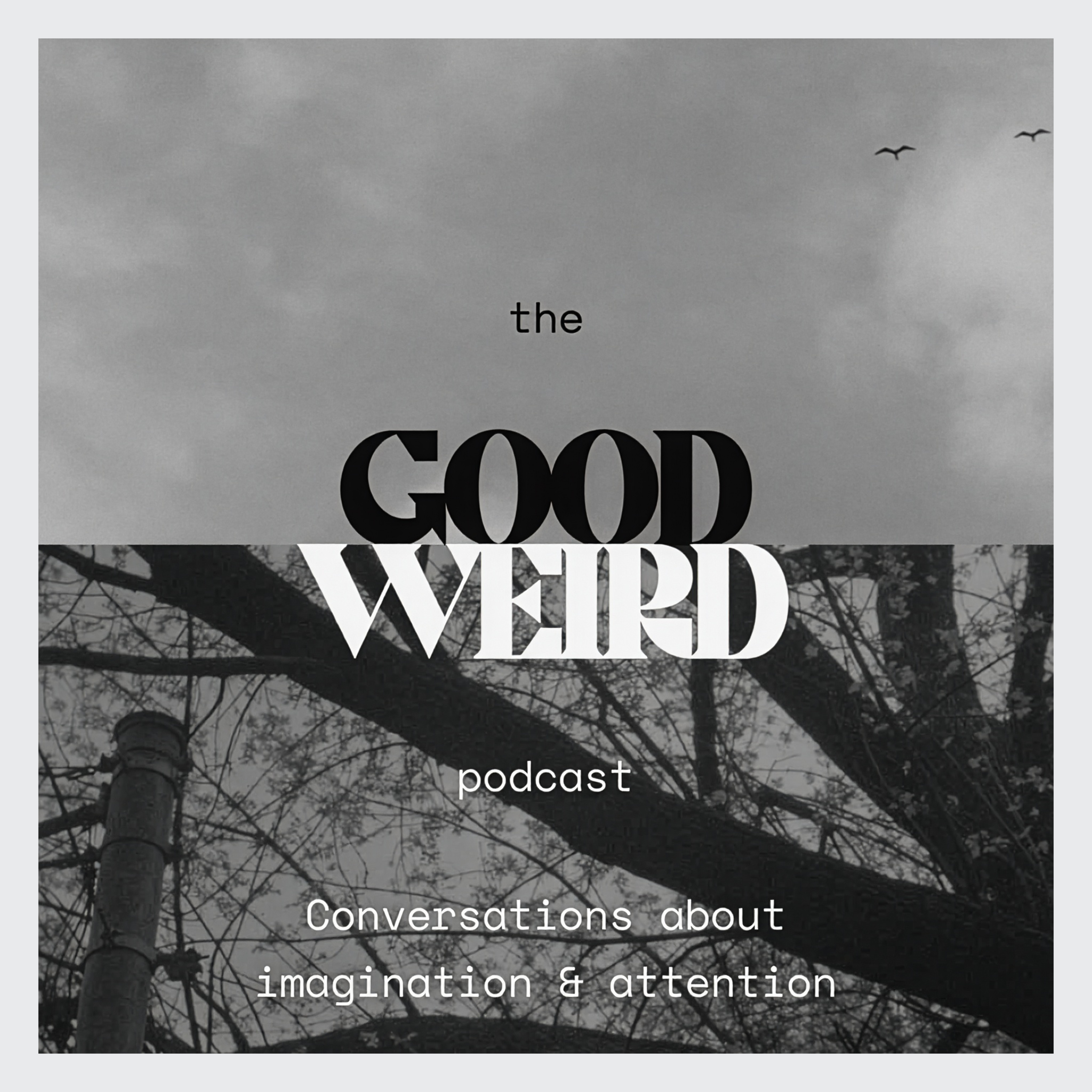 The GoodWeird Podcast: Trailer episode artwork