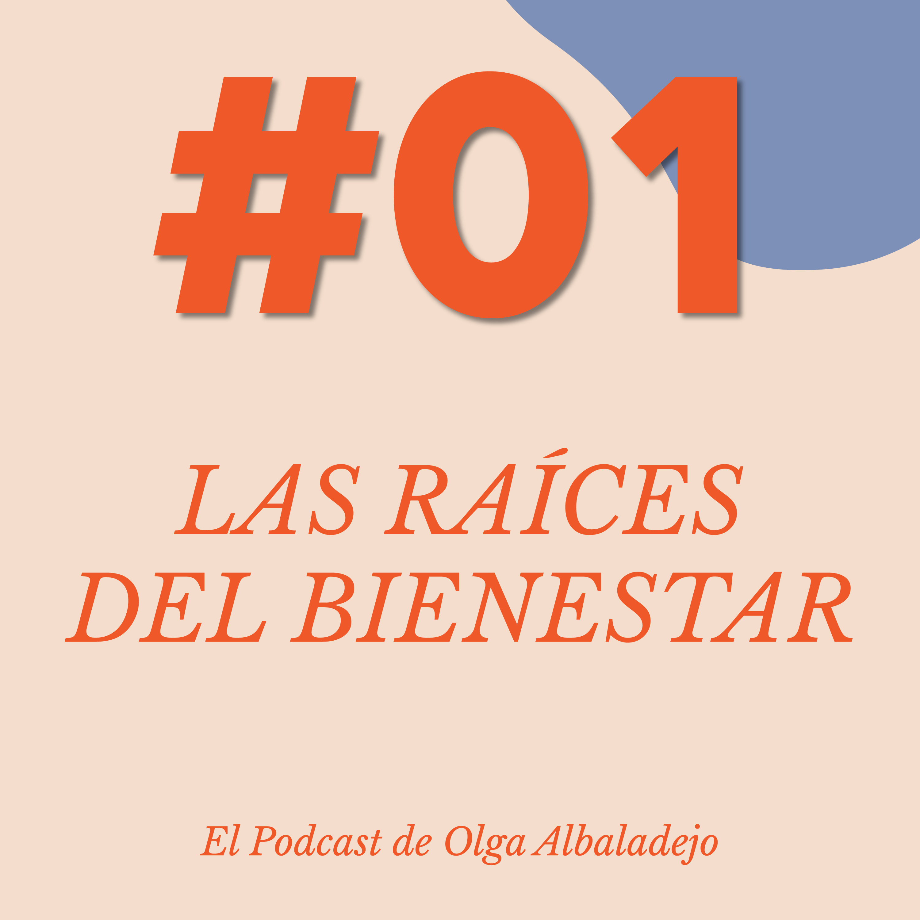 Bienestar Sin Parches