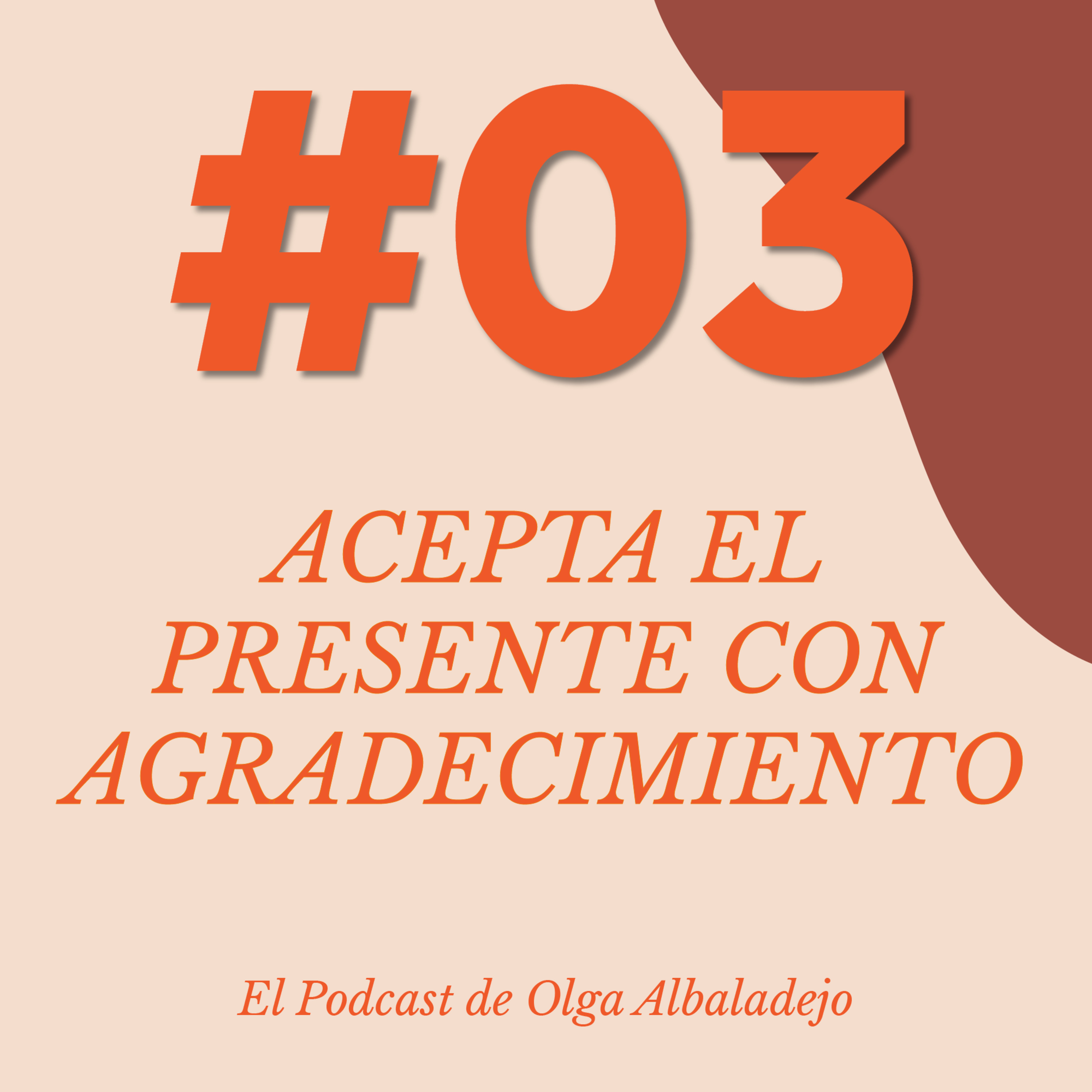 Bienestar Sin Parches