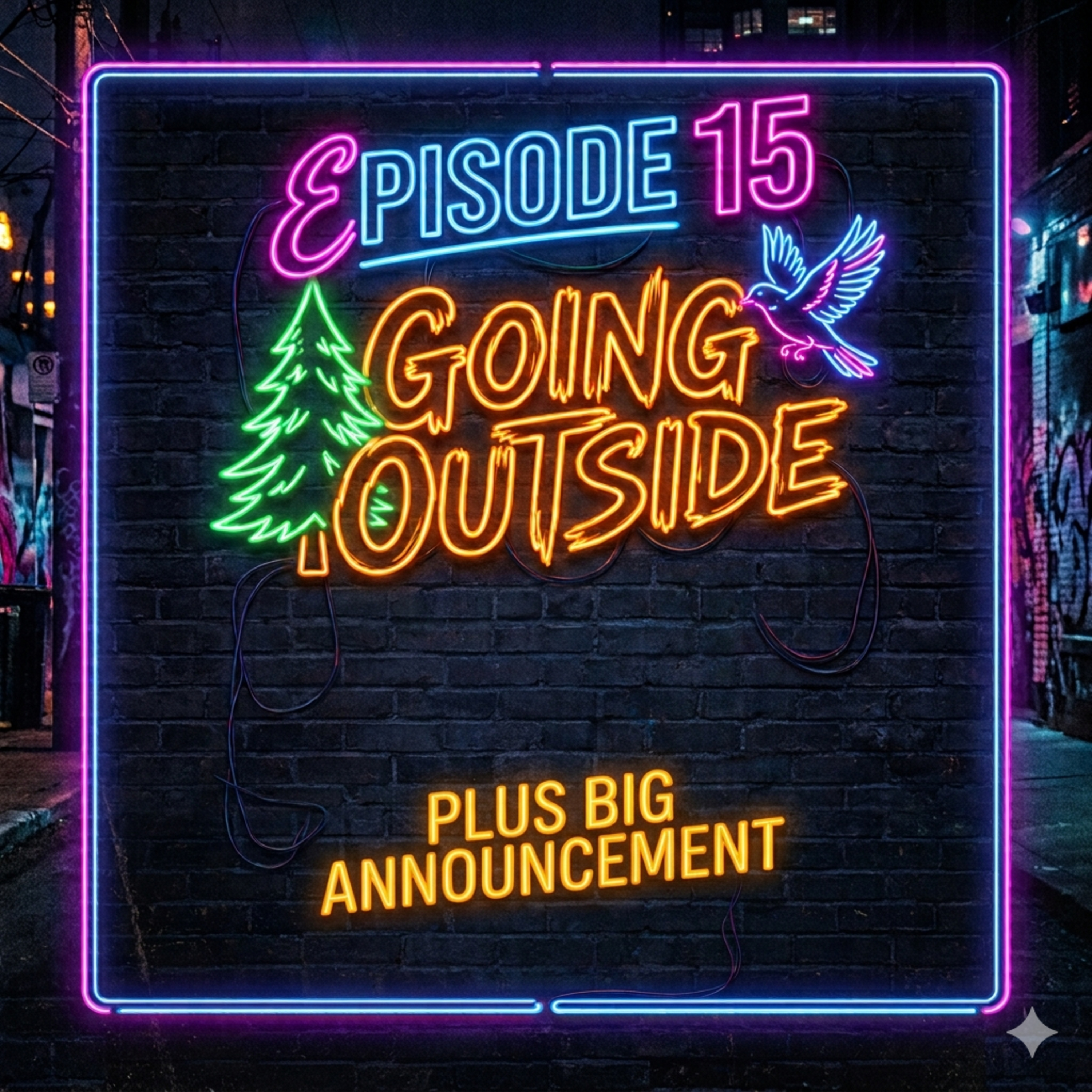 Episode 15 Going Outside episode artwork