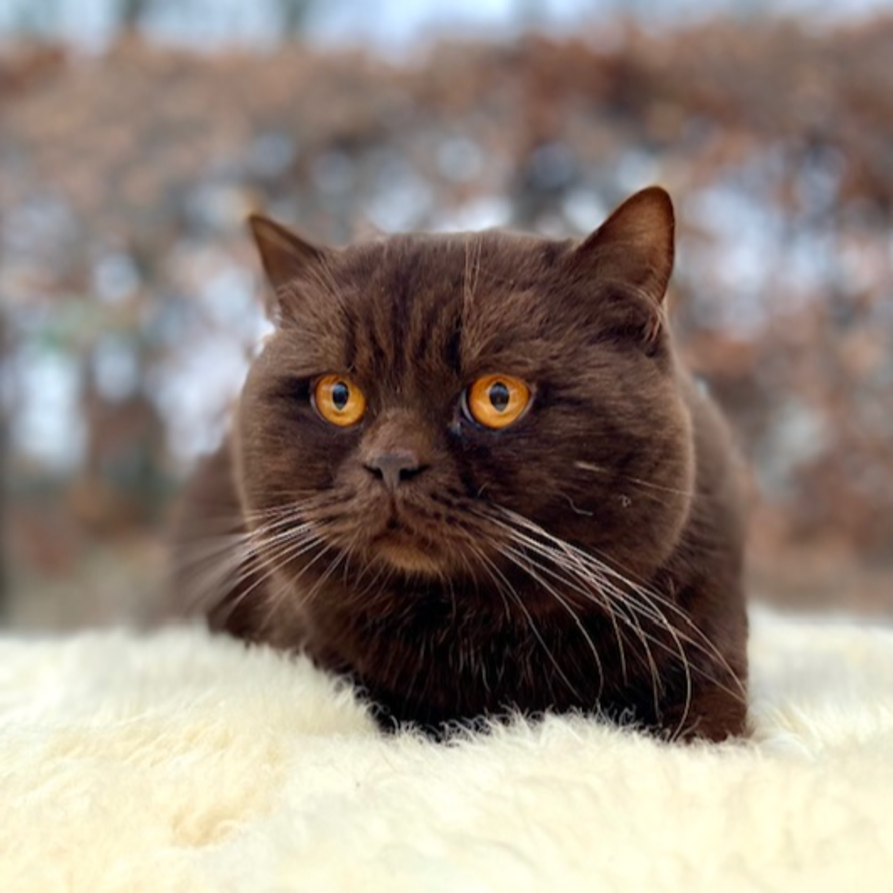 #1. Is jouw dekkater klaar voor het nieuwe seizoen? episode artwork
