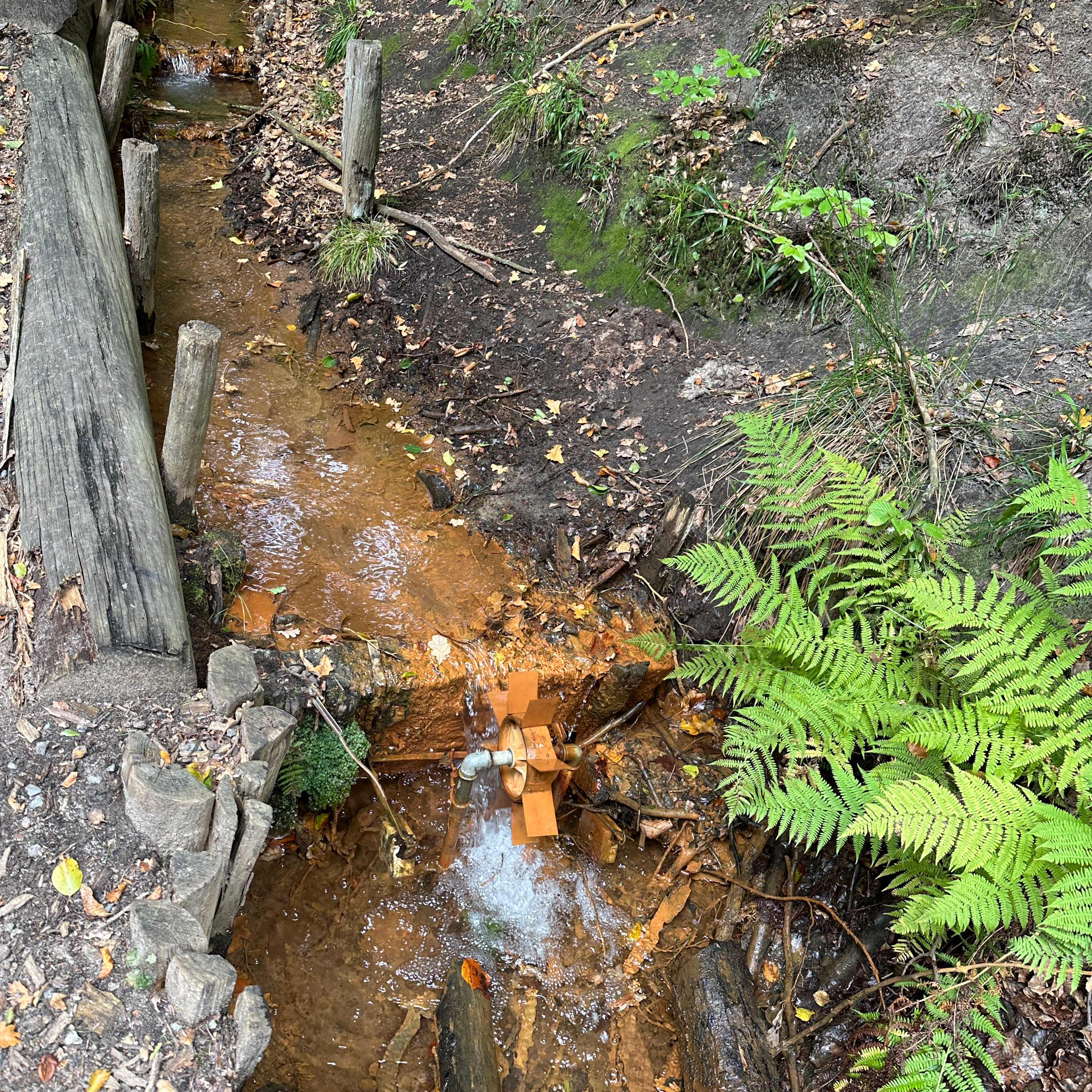 #5 Wo rotes Wasser aus dem Berg fließt - Lausitzliebe im Märchenwald episode artwork
