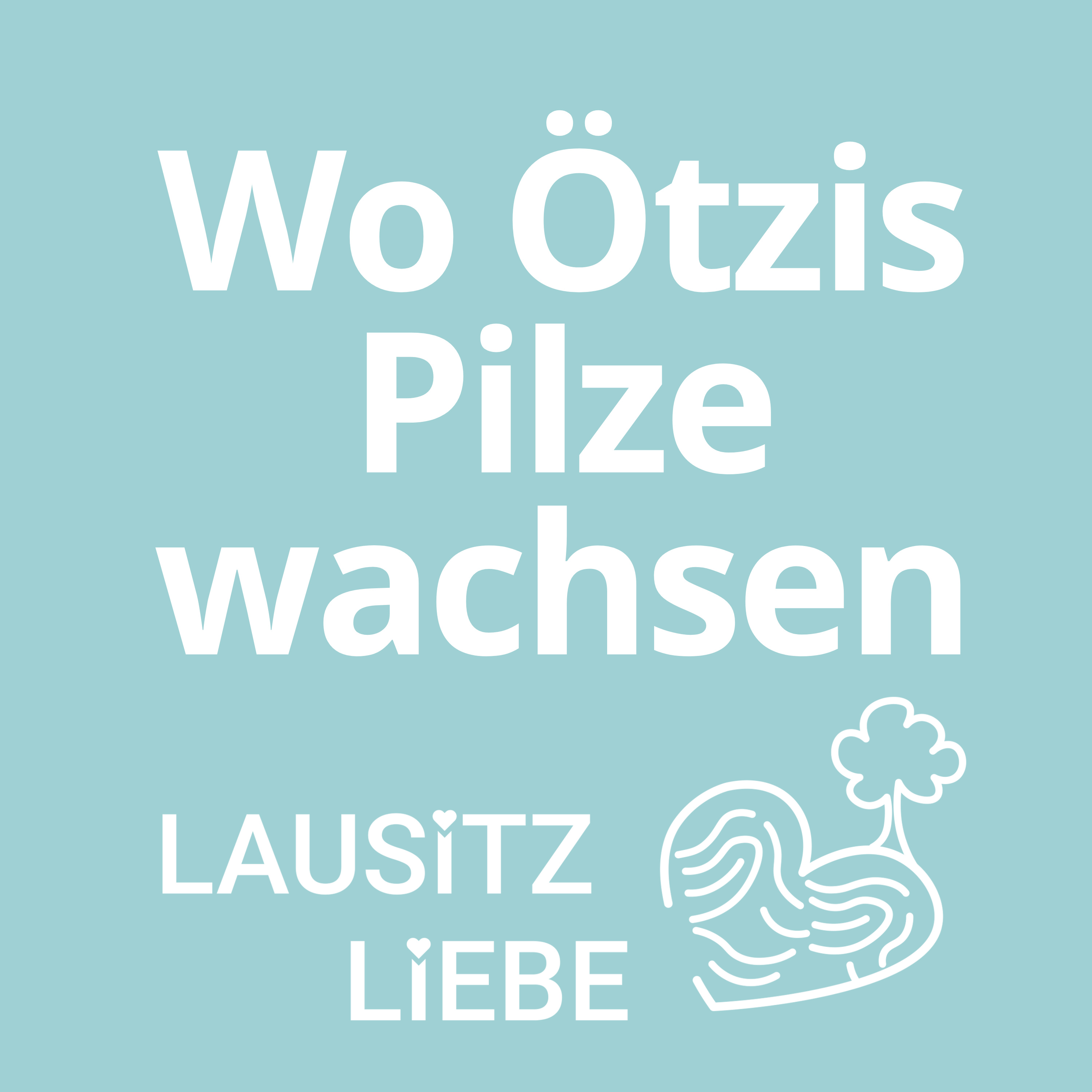 #9 Wo Ötzis Pilze wachsen - LausitzLiebe in der Gahroer Buchheide episode artwork