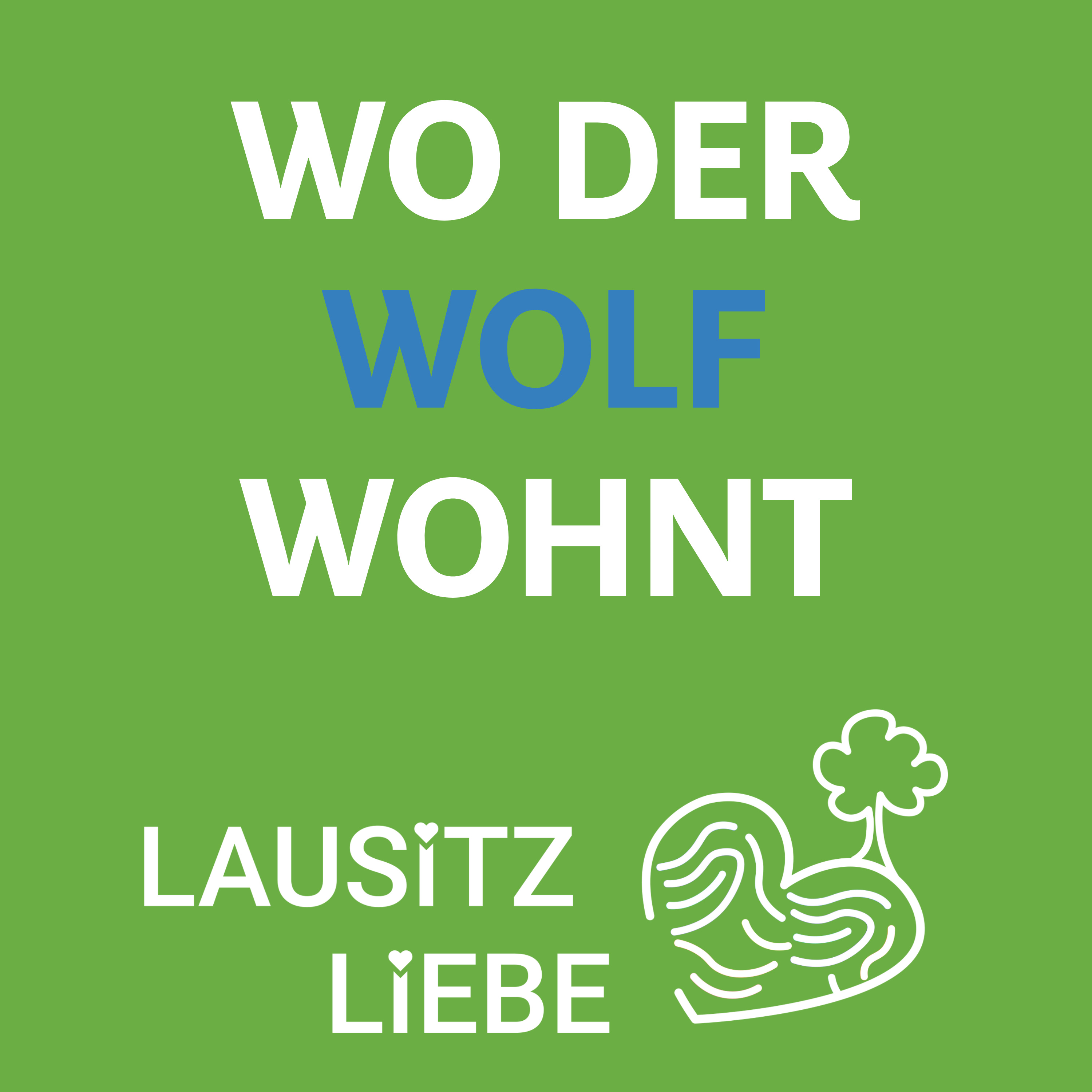 # 15 Wo der Wolf in der Lausitz wohnt episode artwork