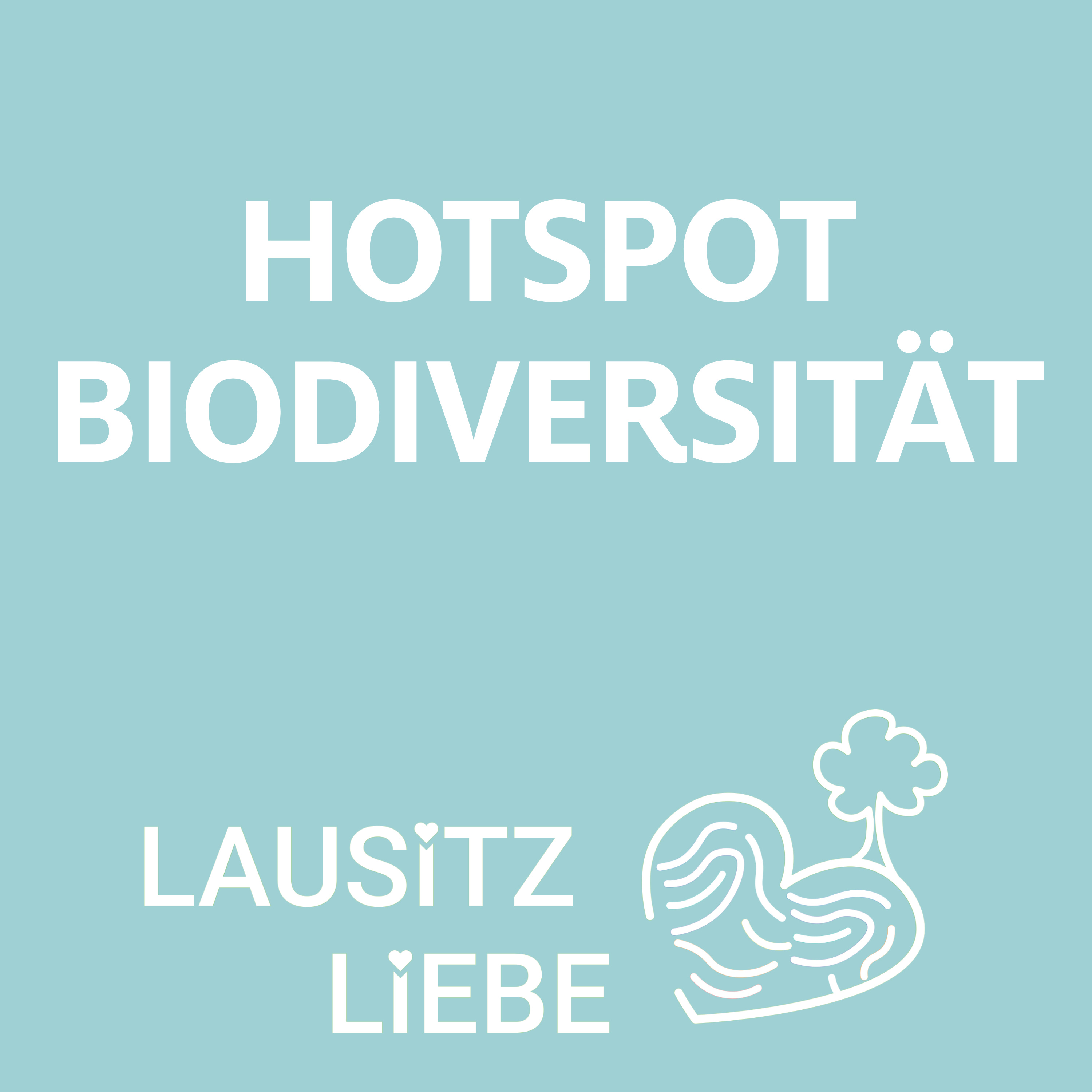 #24 Hotspot der Biodiversität: Oberlausitzer Heide- und Teichlandschaft episode artwork