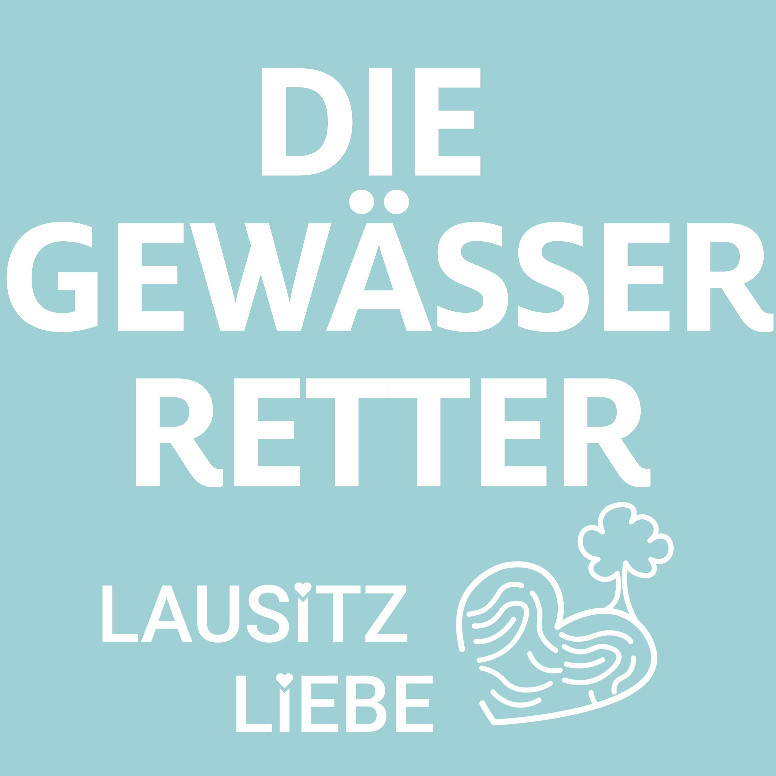 #31 Die Gewässer-Retter episode artwork