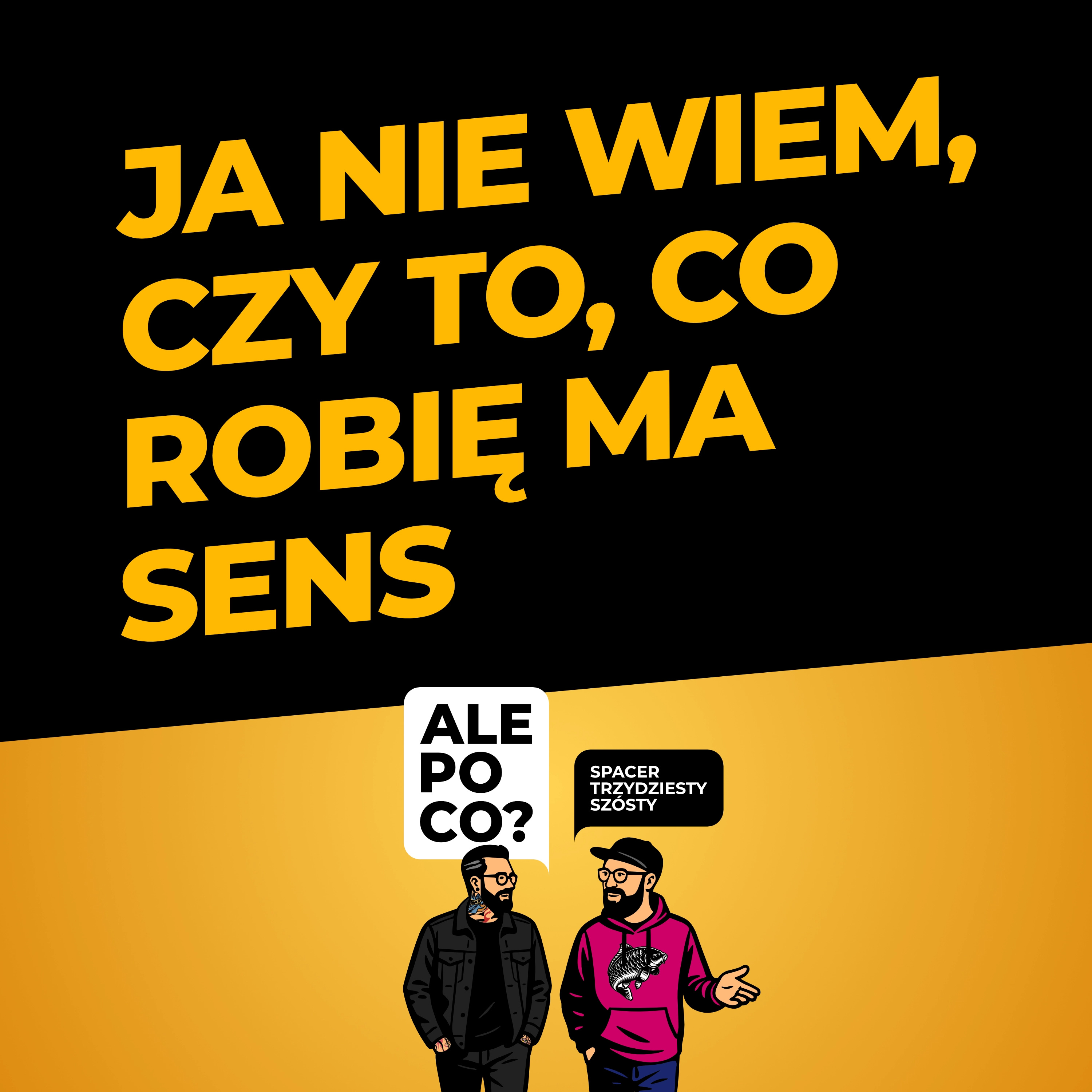 Spacer trzydziesty szósty: ja nie wiem, czy to, co robię ma sens episode artwork