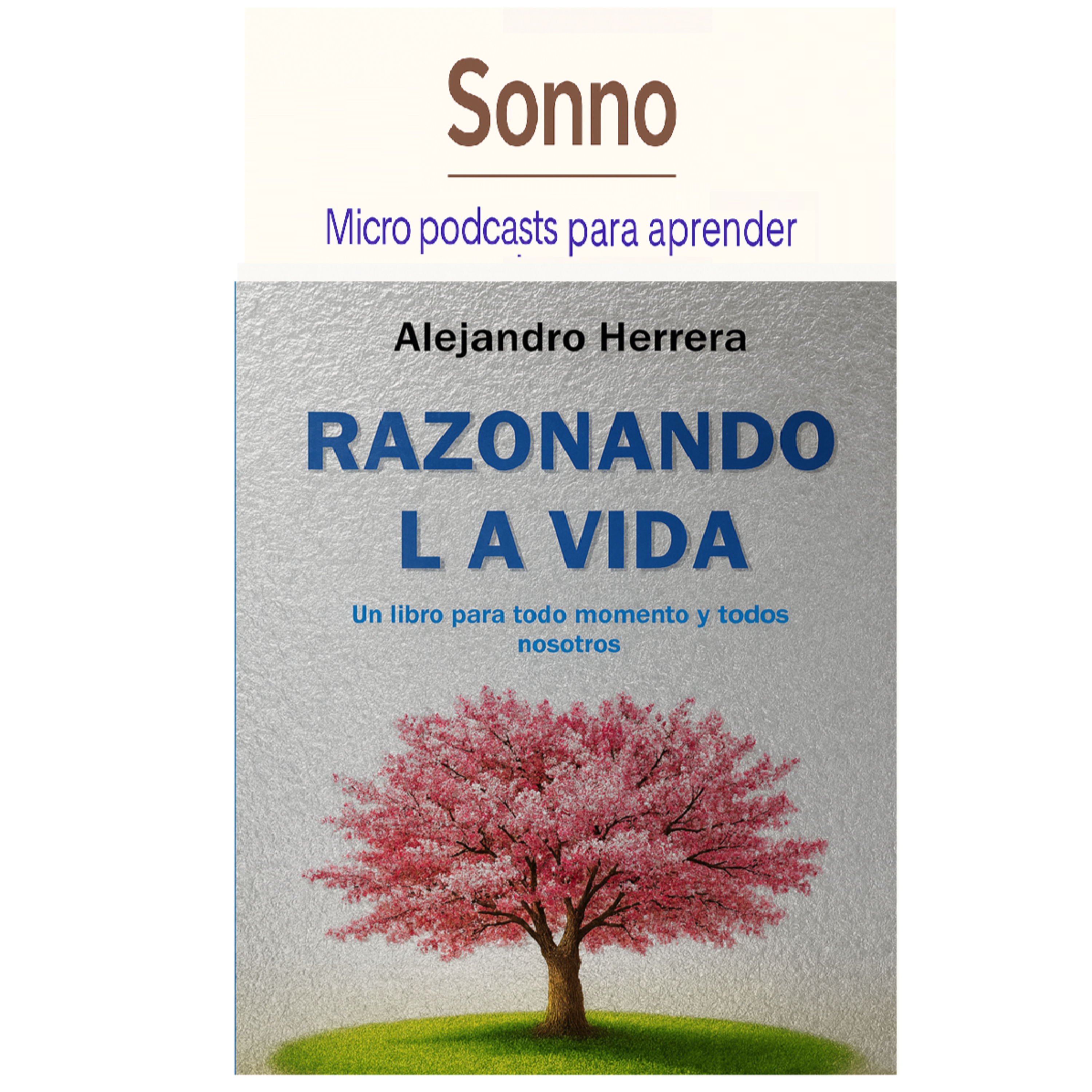  #0202 |Razonando la vida: reflexiones para encontrar sentido episode artwork