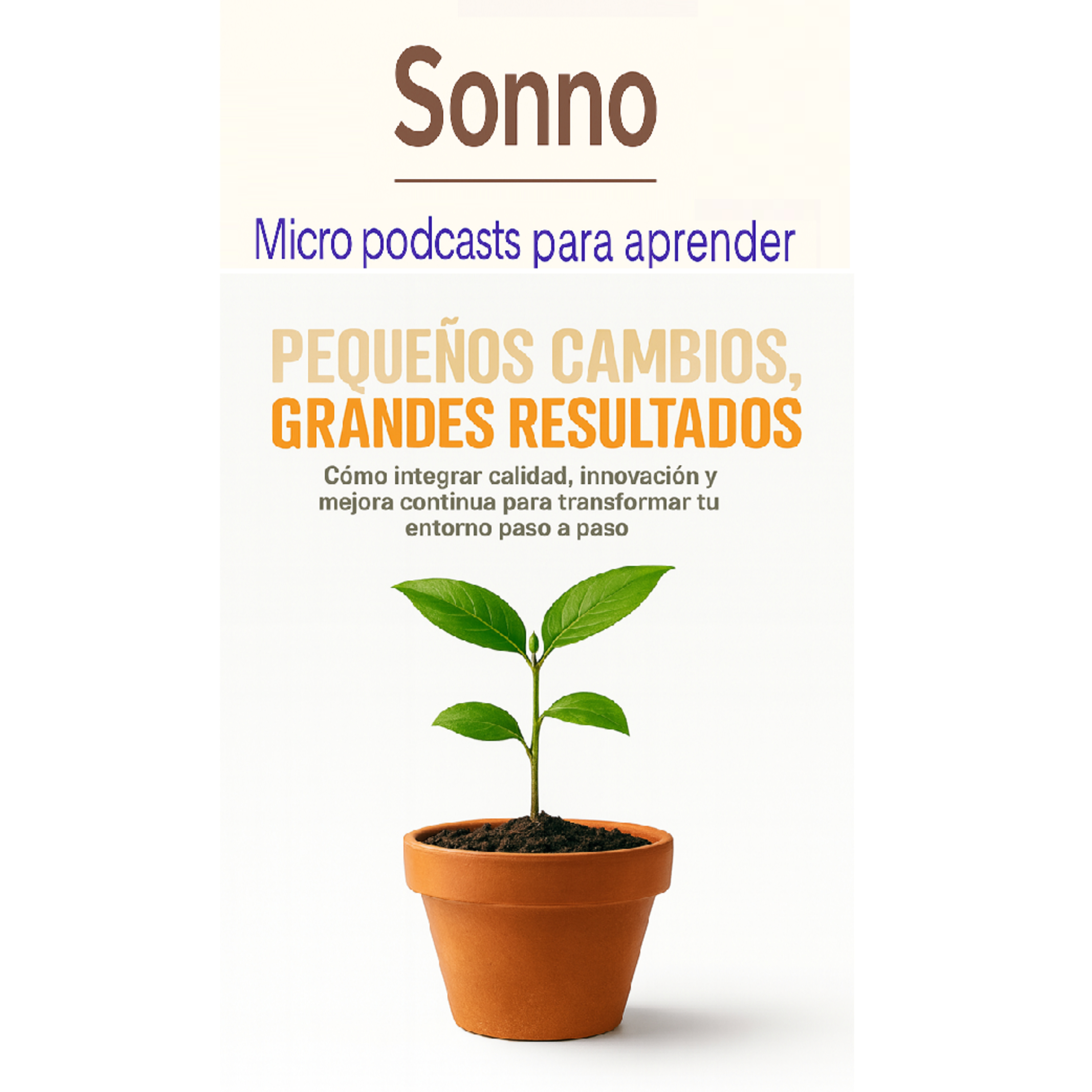 #0248 | Calidad sin complicaciones: Kaizen, Lean, ISO y la mejora continua en tu día a día episode artwork