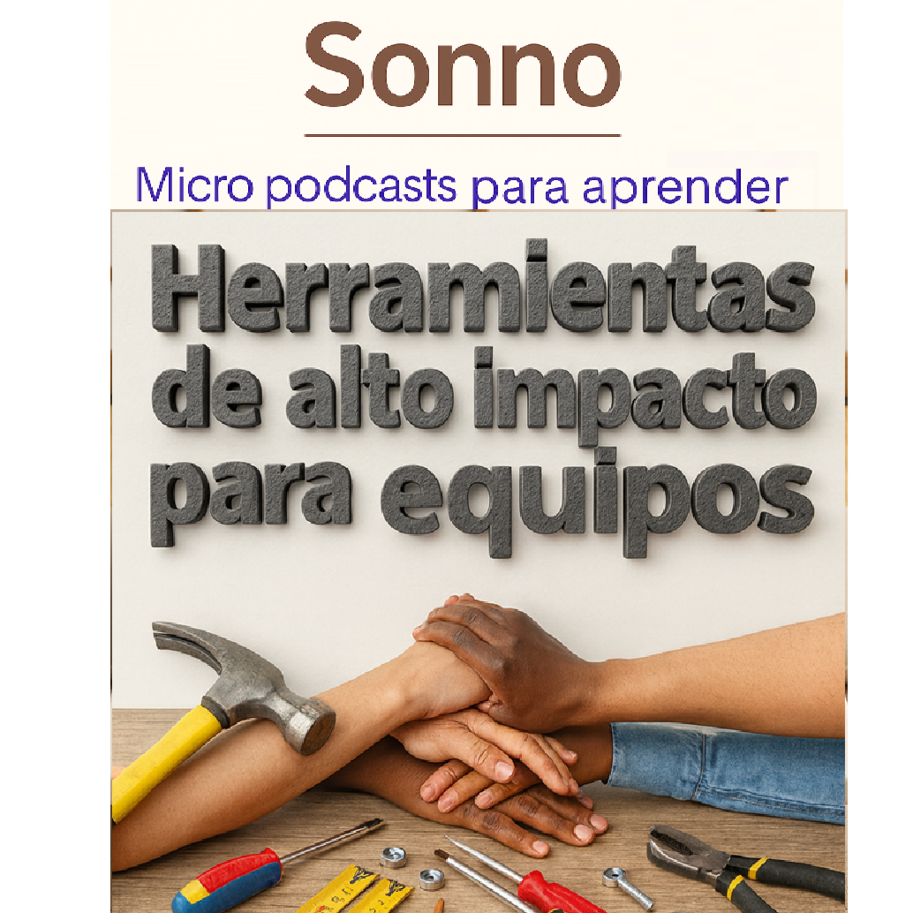 #0307 | Liderazgo. Herramientas de Alto Impacto para Equipos: Cómo Alinear, Conectar y Lograr Resultados Reales | Stefano Mastrogiacomo & Alex Osterwalder |Liderazgo | Gestión de Equipos episode artwork