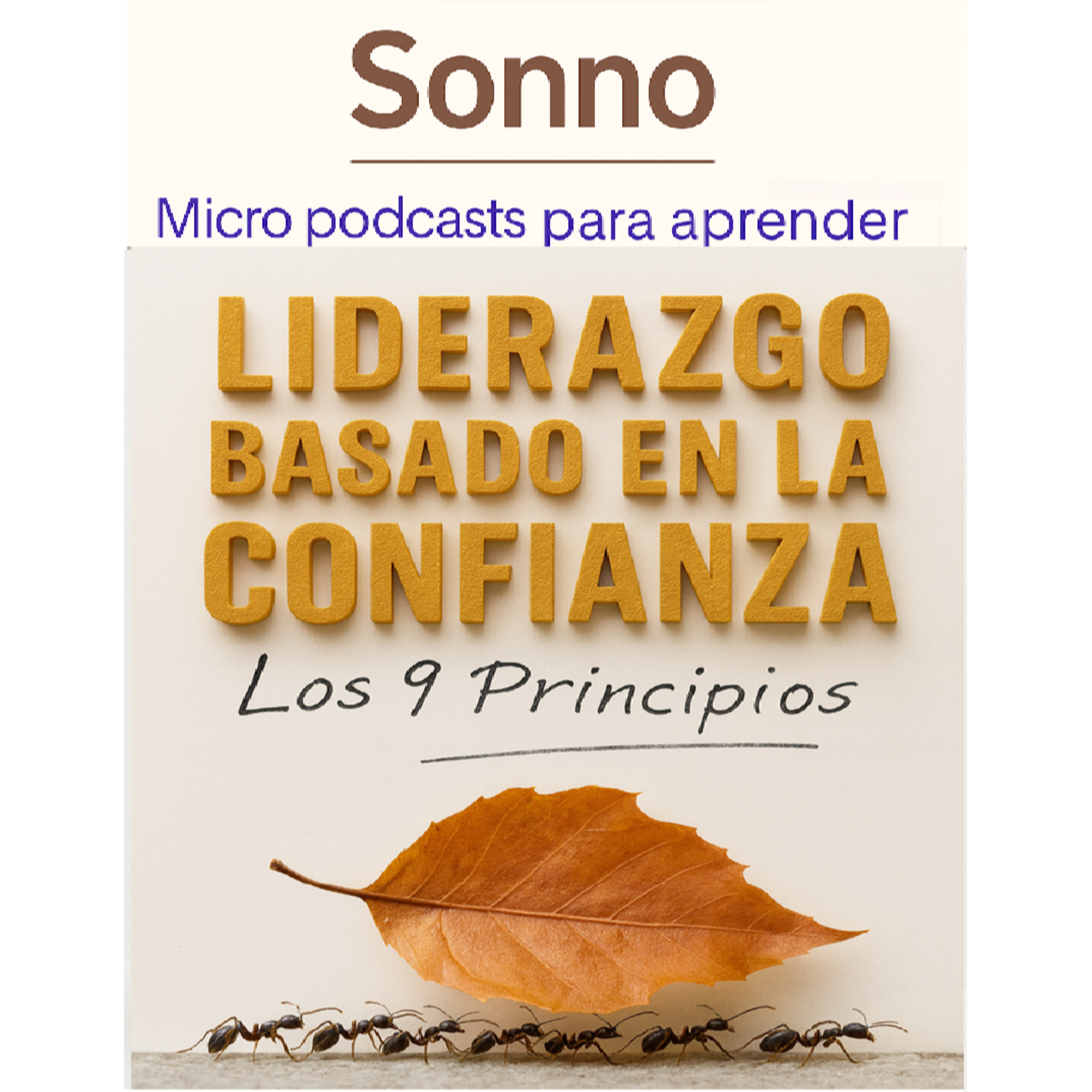 #0308 | Liderazgo Basado en la Confianza: Los 9 Principios Esenciales episode artwork