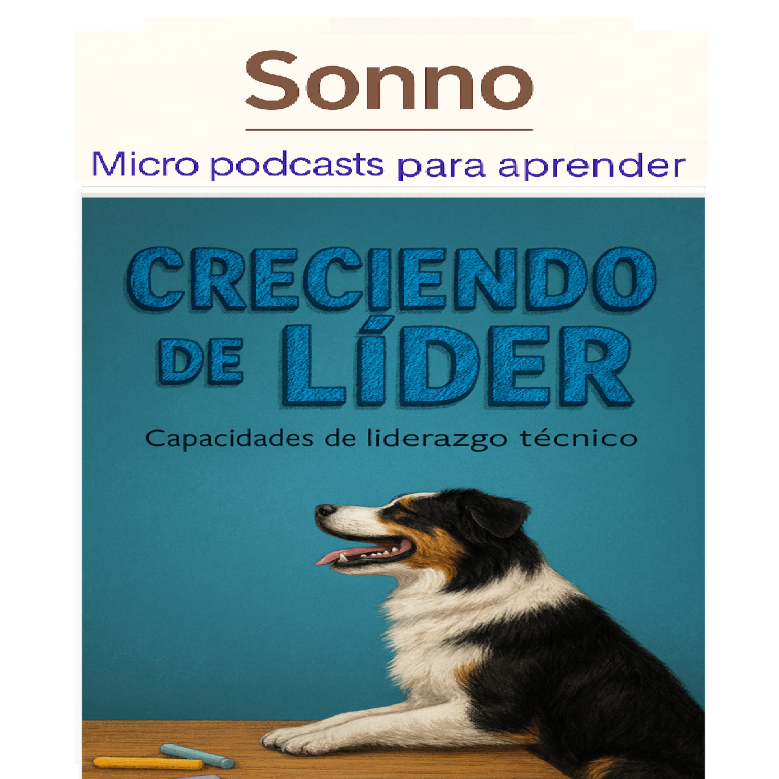 Sonno — Libros de Psicología y Negocios en Minutos | Business and Psychology (Spanish)