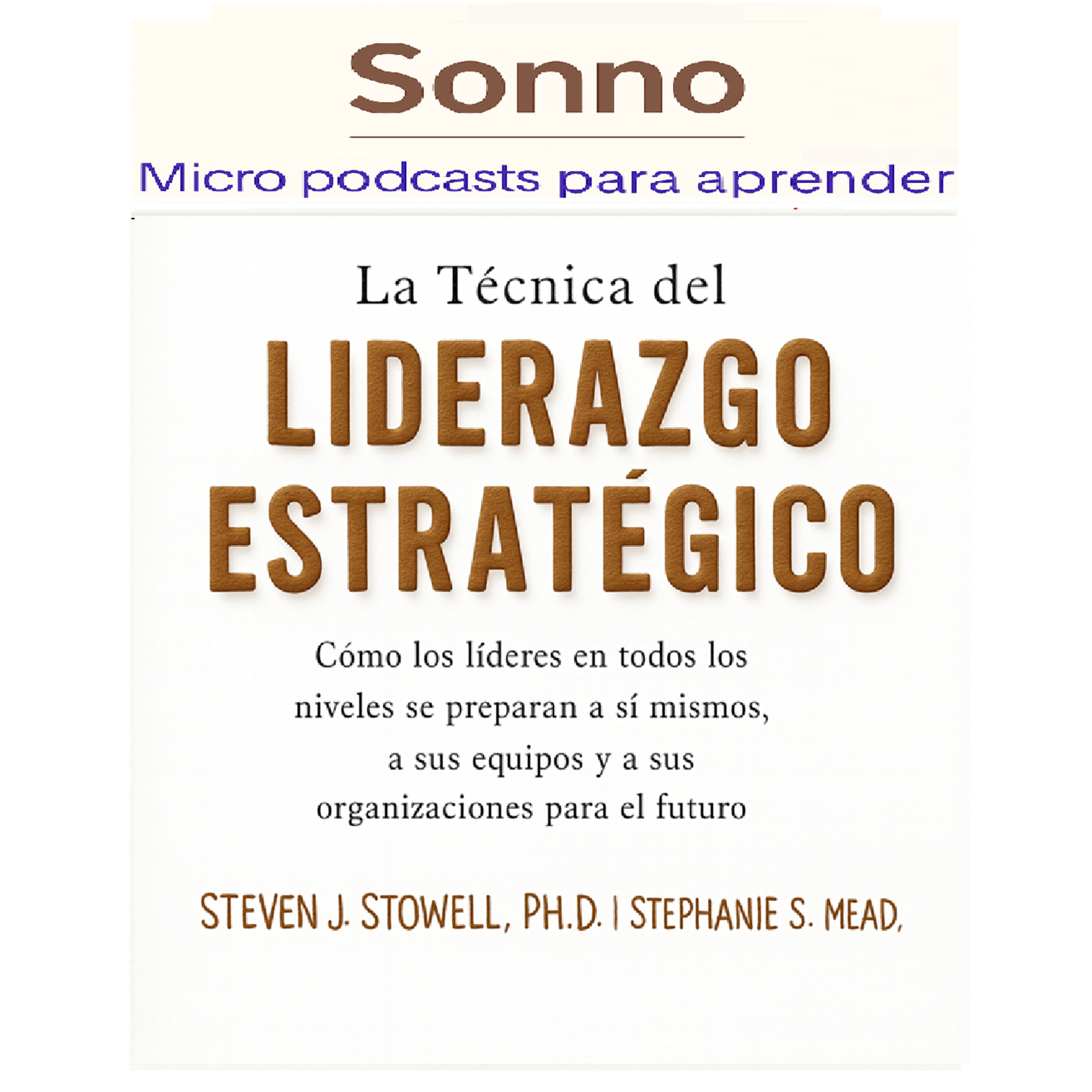 #0394 | Liderazgo estratégico. Liderar con visión: El arte de pensar y actuar estratégicamente Steven Stowel y Stephanie Mead episode artwork