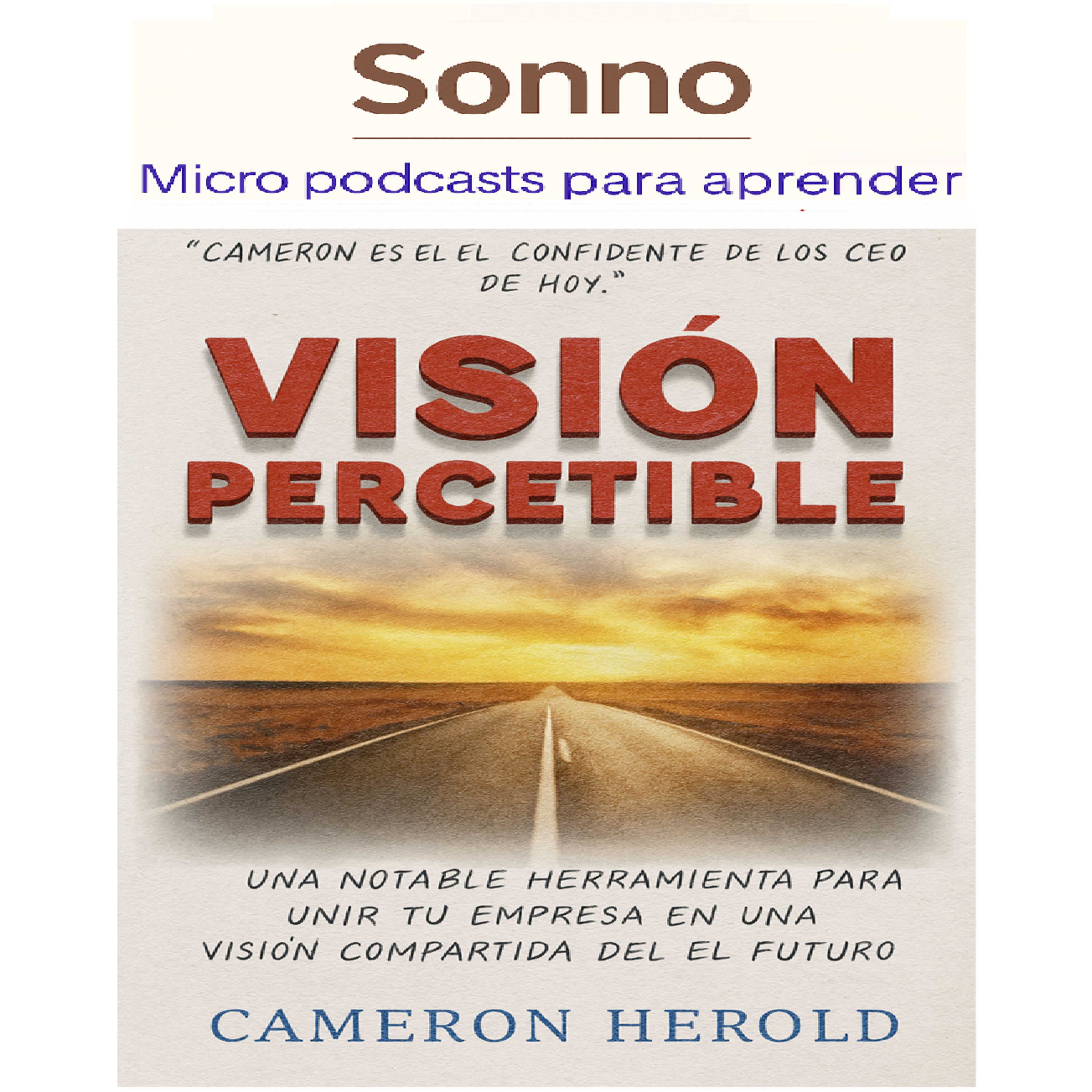 #0398 | Visión que se ve: Cómo diseñar el futuro de tu empresa con precisión quirúrgica episode artwork