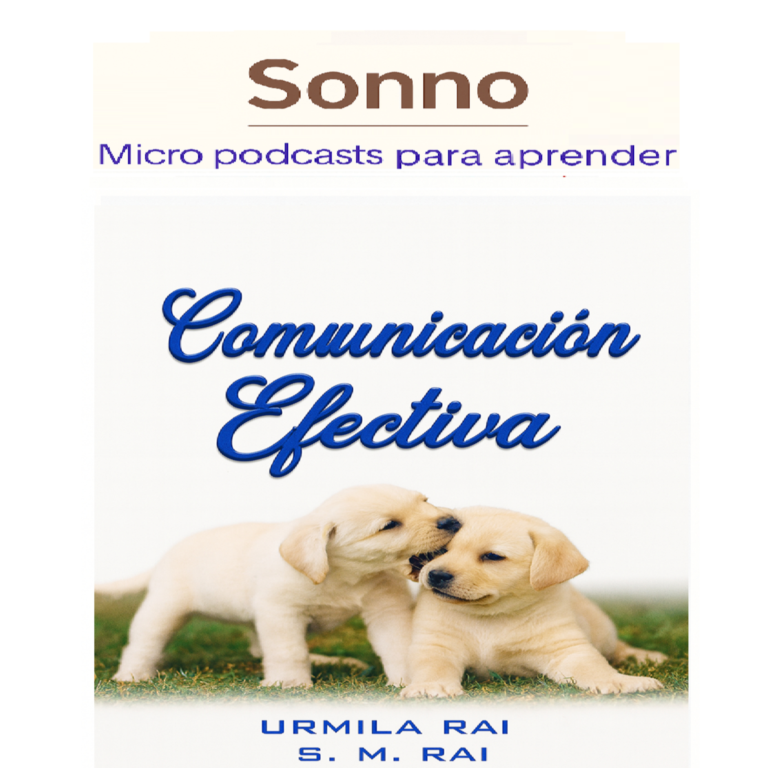#0404 | Comunicación efectiva. Comunicar para influir.  episode artwork