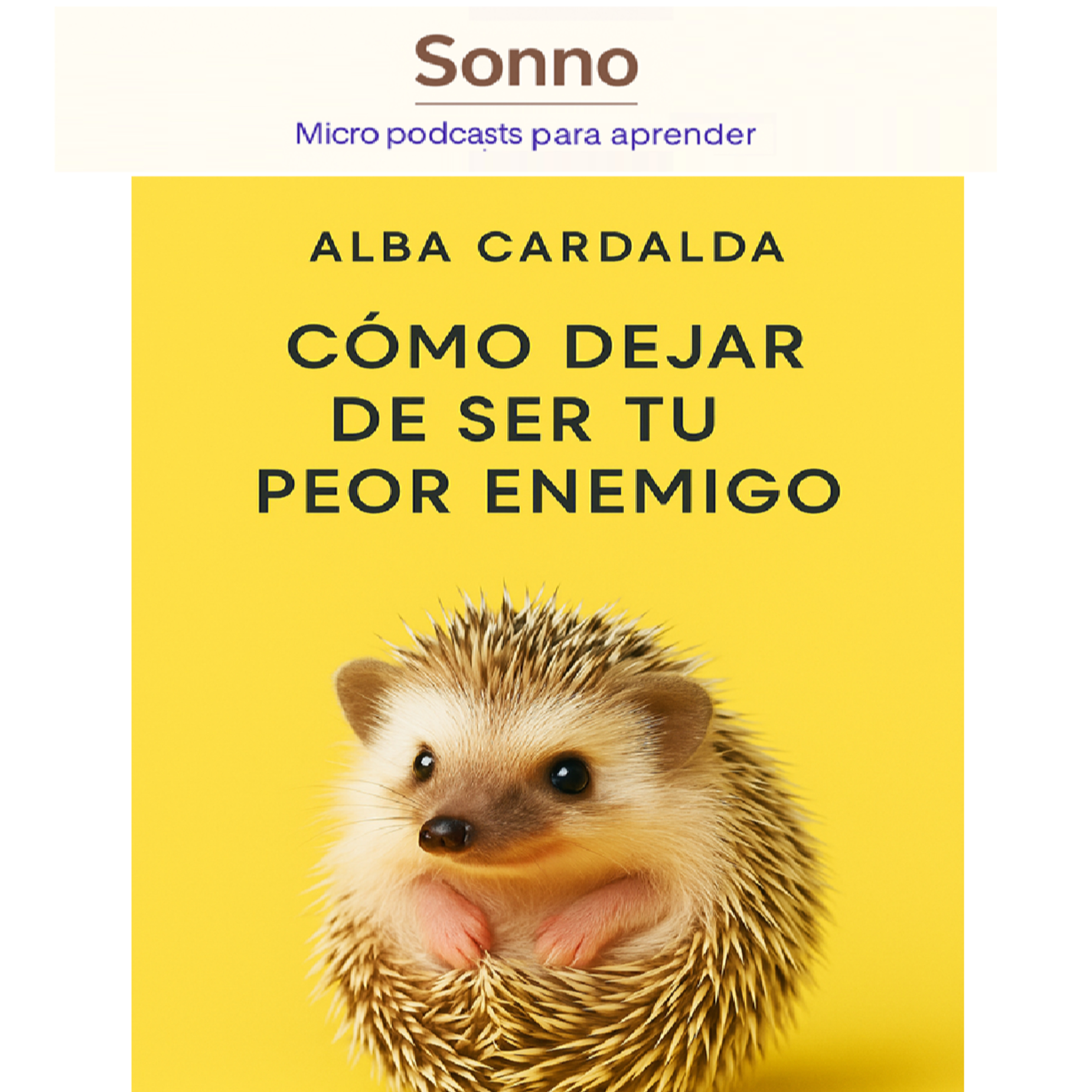  #0028 | Cómo dejar de ser mi peor enemigo: conviértete en tu mejor aliado episode artwork