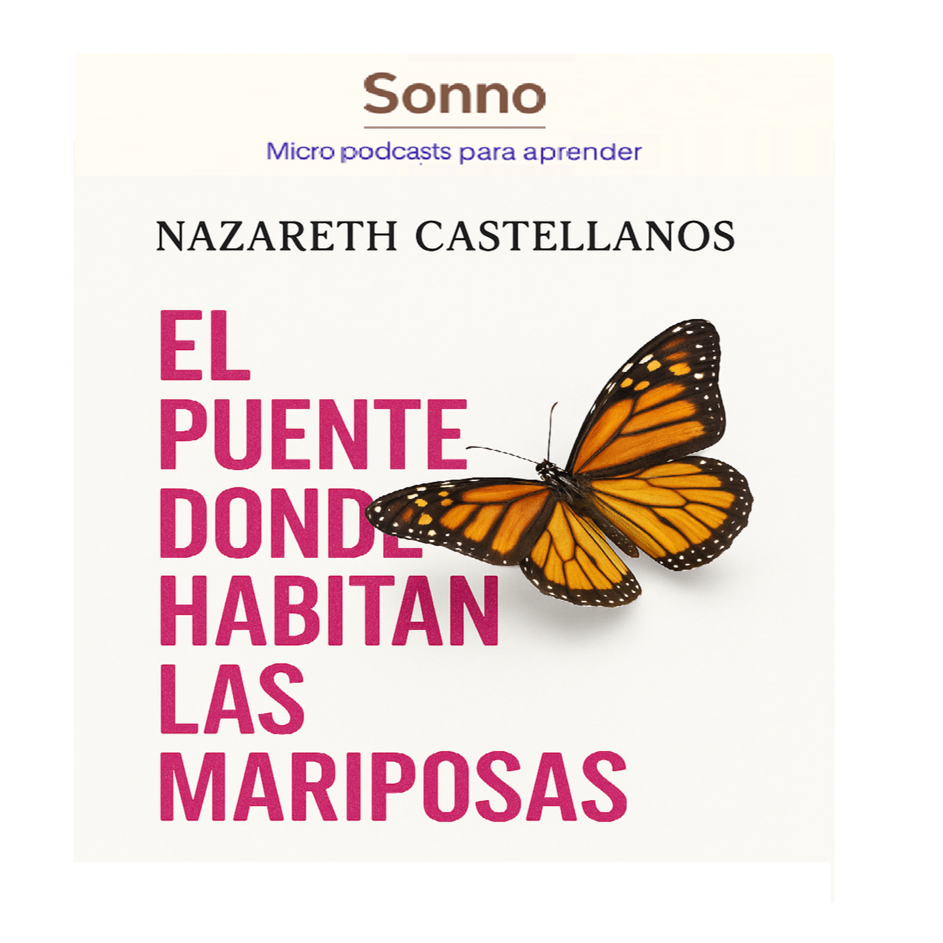  #0049 | Basado en el libro el puente donde habitan las mariposas episode artwork
