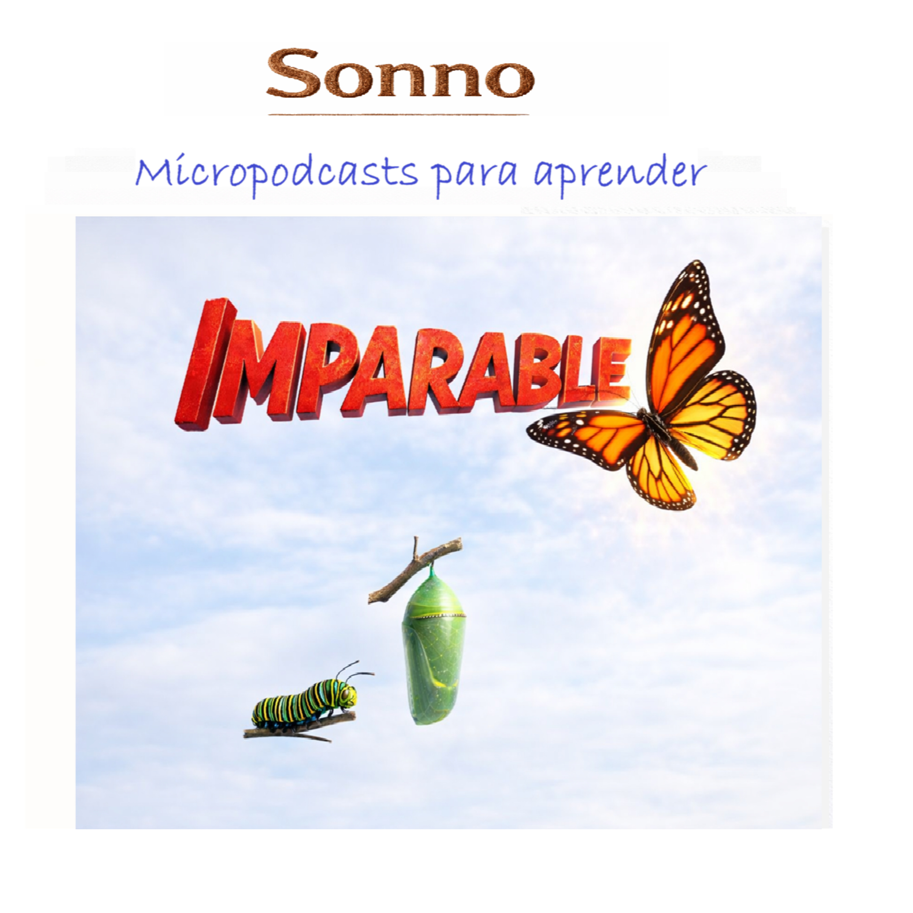 #0499 | Equipos que ganan: el código de honor para crear grupos imparables | Mentalidad | Rendimiento episode artwork