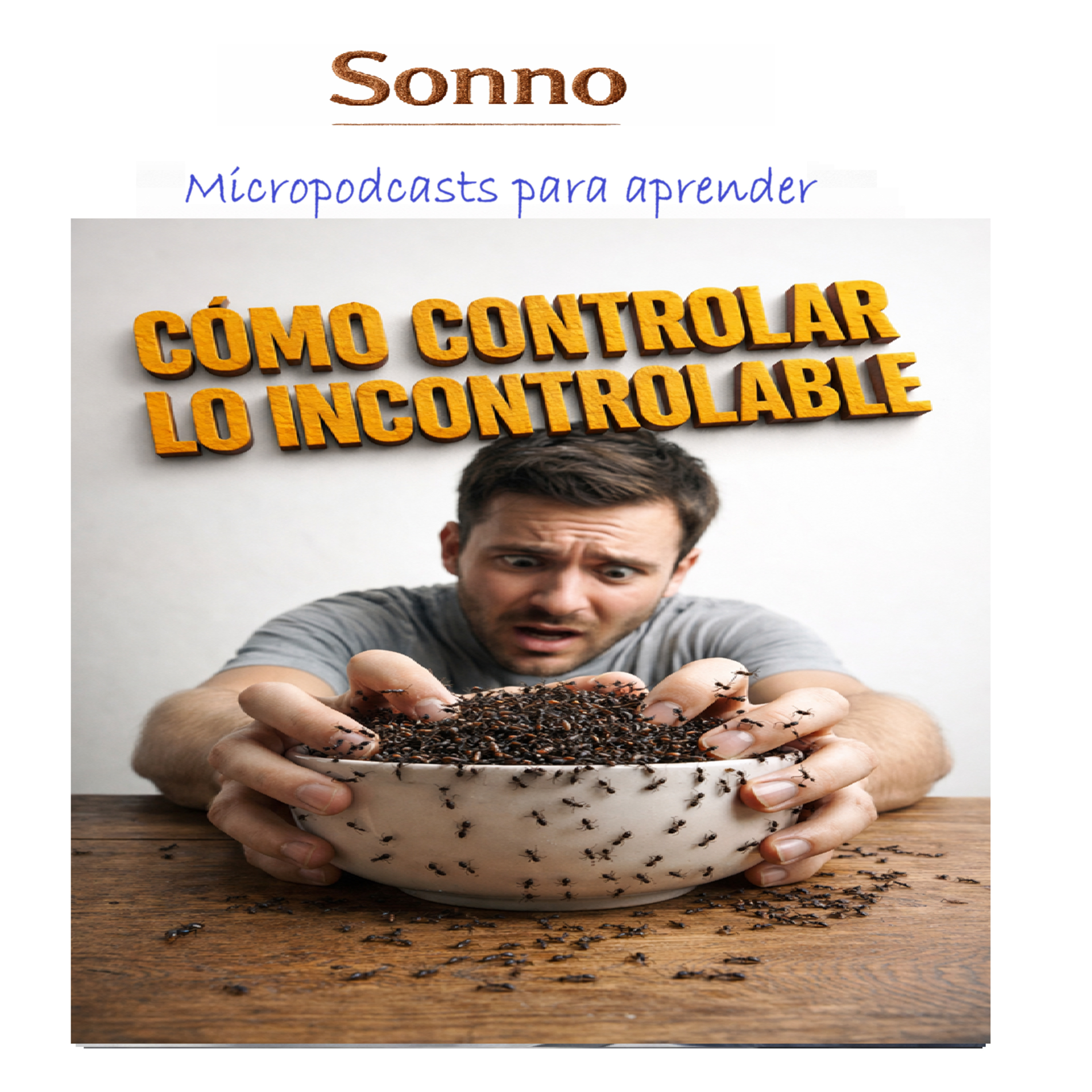 #0516 | Cómo controlar lo incontrolable Diez ideas para ayudarte a pensar como un estoico y a construir una vida resiliente episode artwork