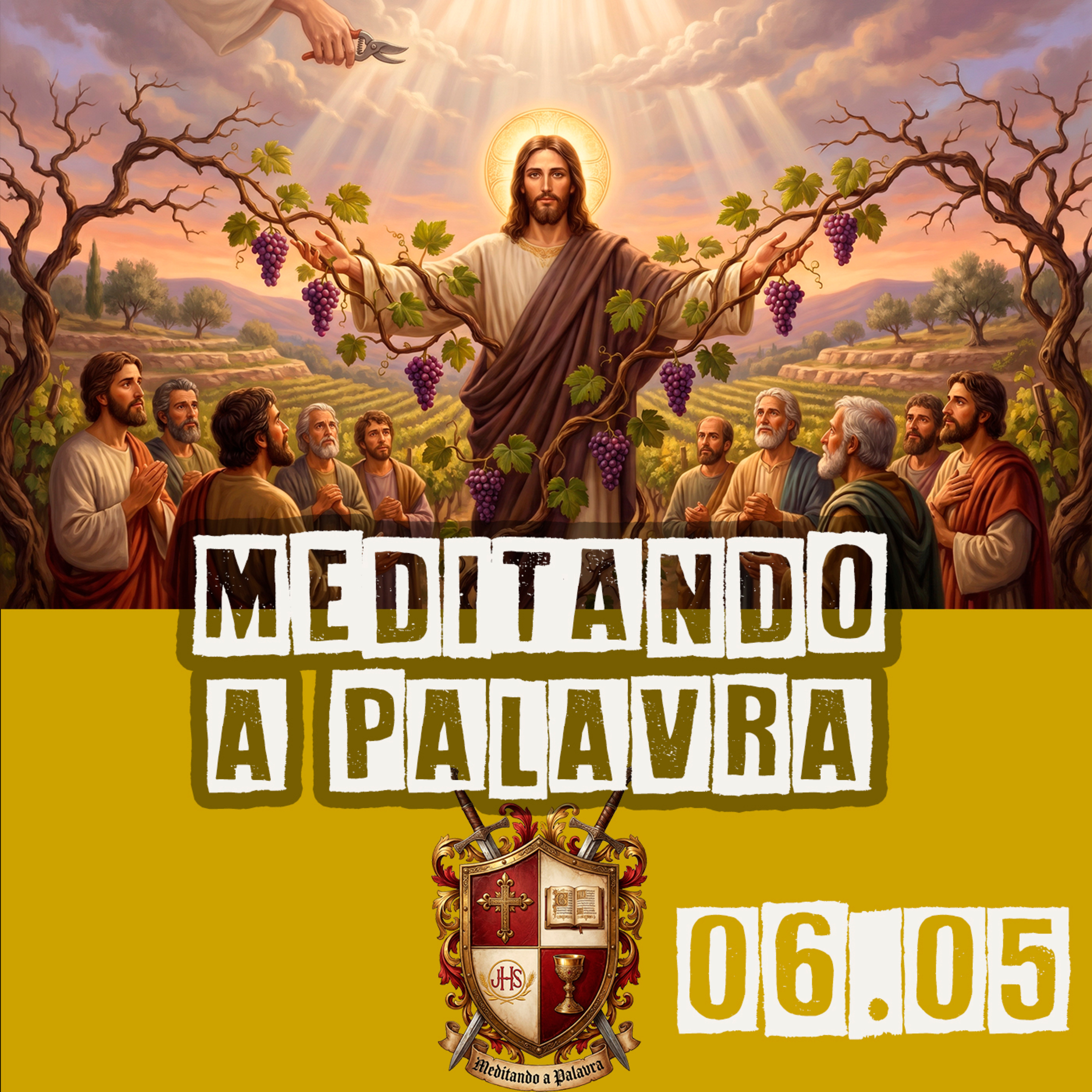 Eu Sou a Videira, Vós os Ramos episode artwork