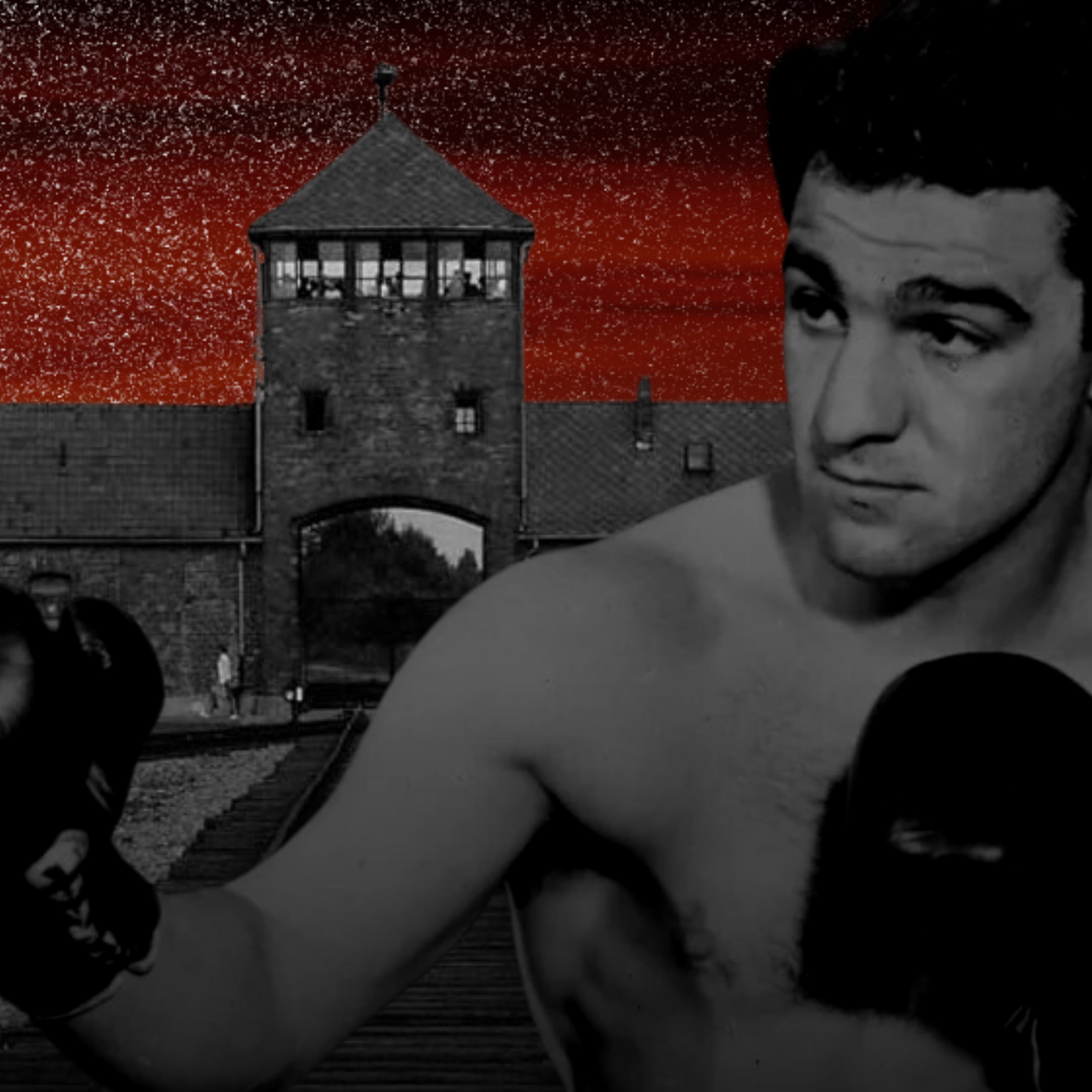 Auschwitz Boksörü episode artwork