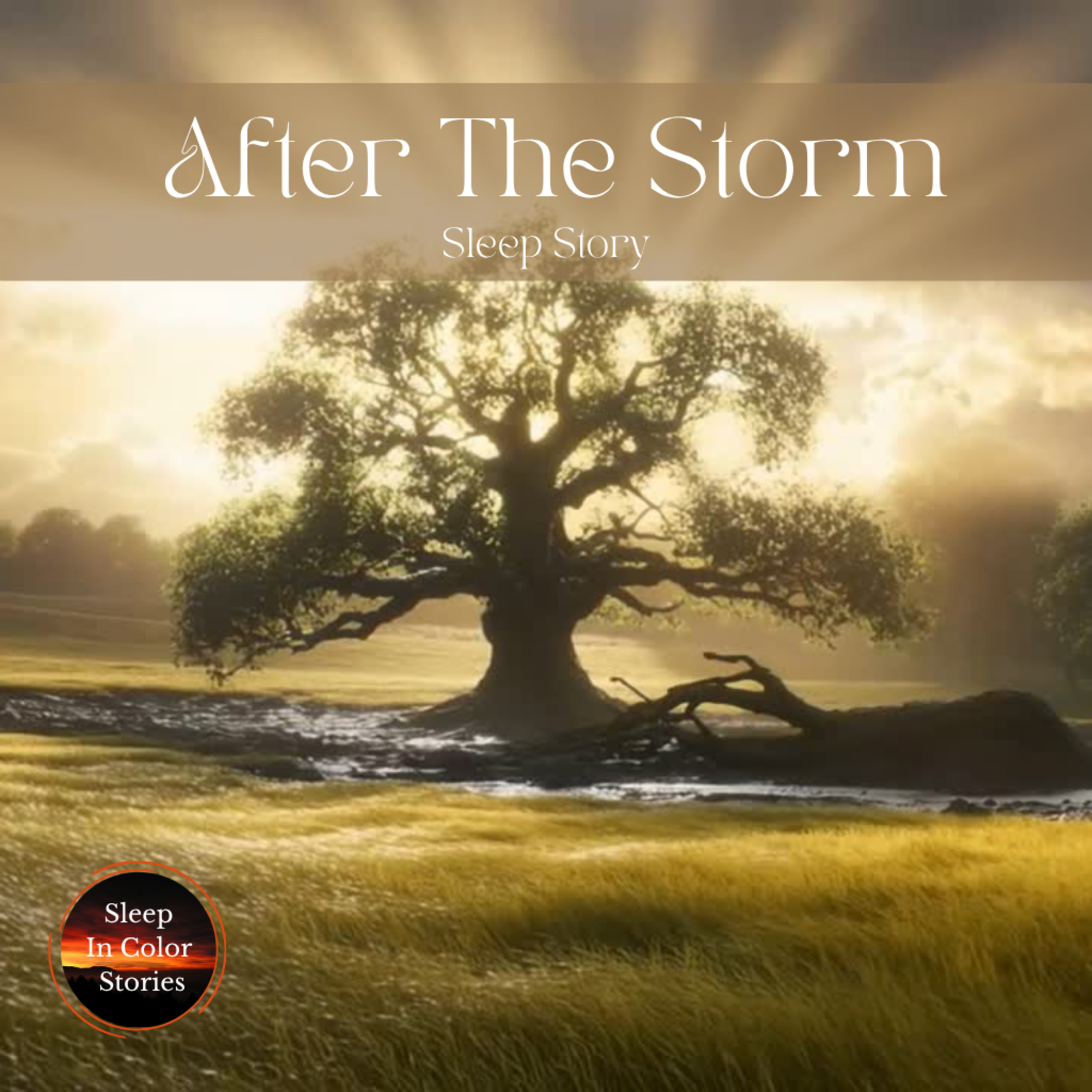 Sleep Story for Coping with Change | After the Storm |Walk Through an Open Field episode artwork