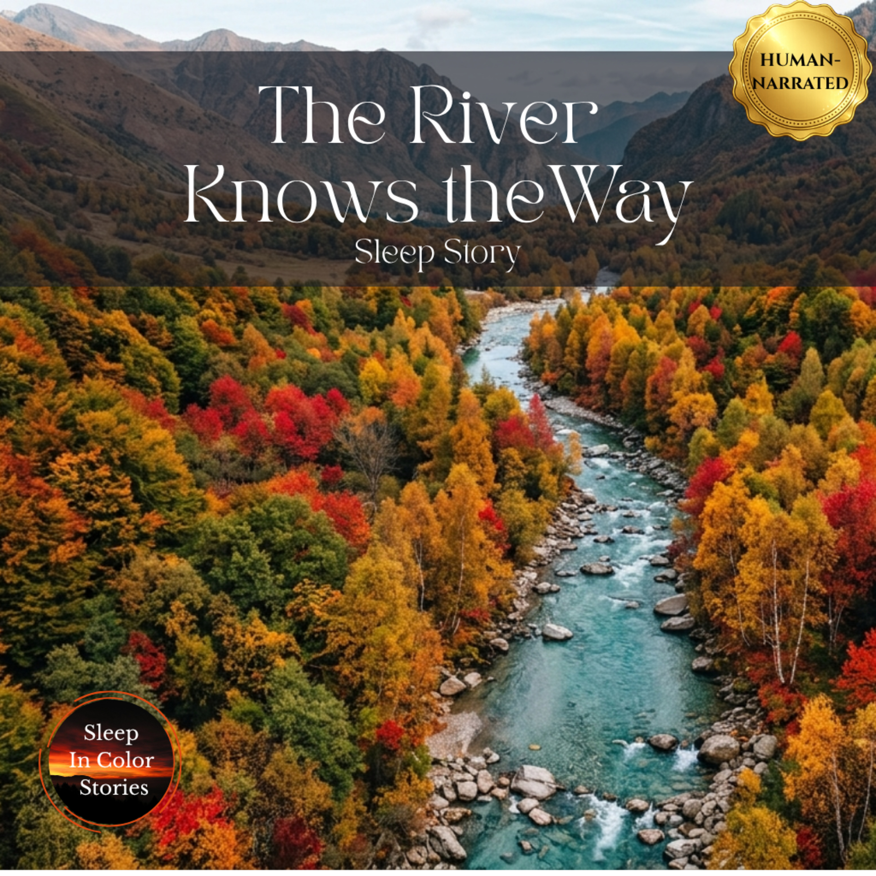 Stop Overthinking & Let Go | 4 HOUR Sleep Story | Float on a River | Female Voice | River Sounds episode artwork