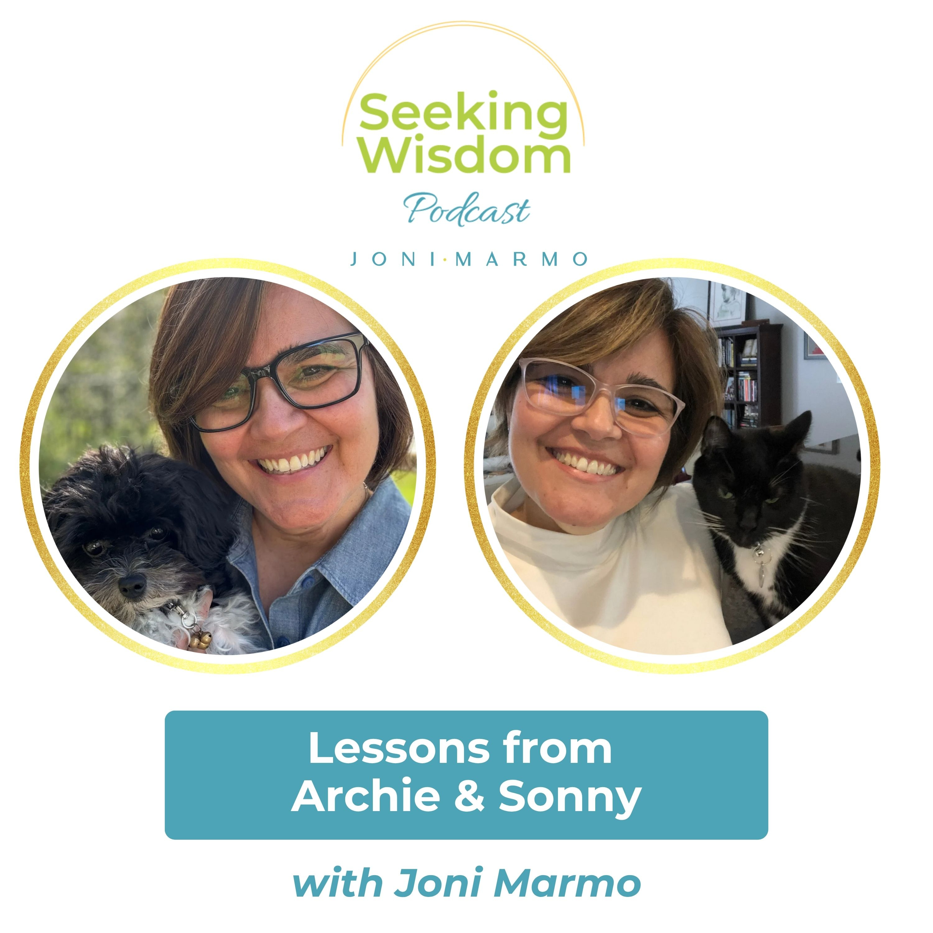 Seeking Wisdom Podcast