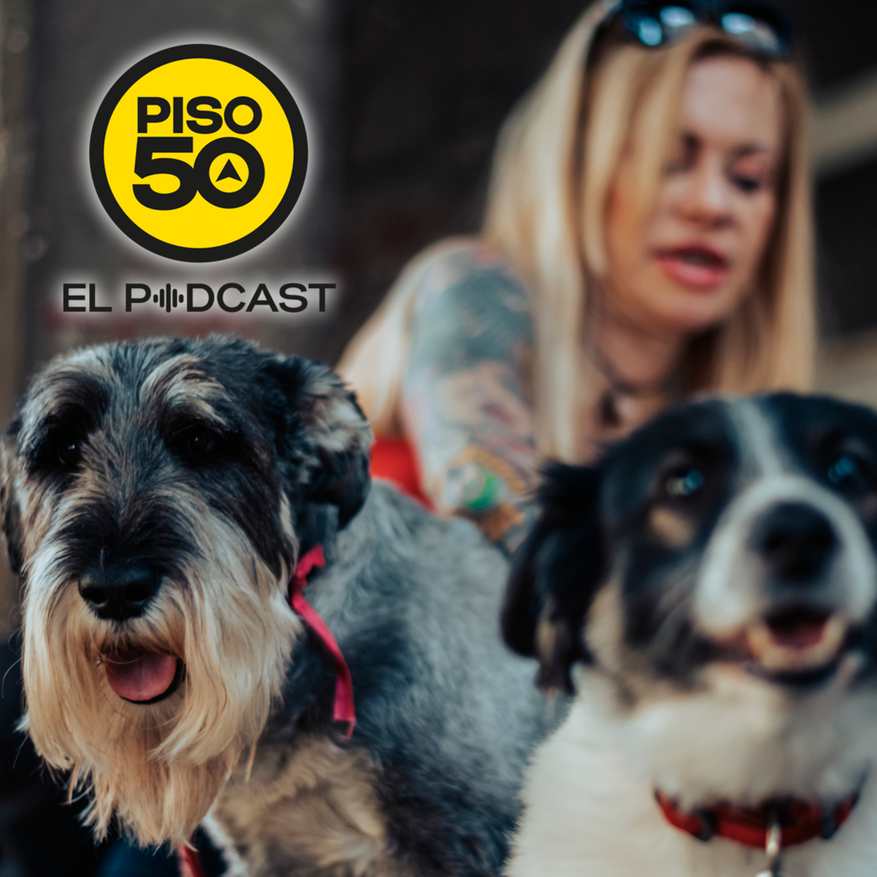 Perrotrapia en lo 50 episode artwork