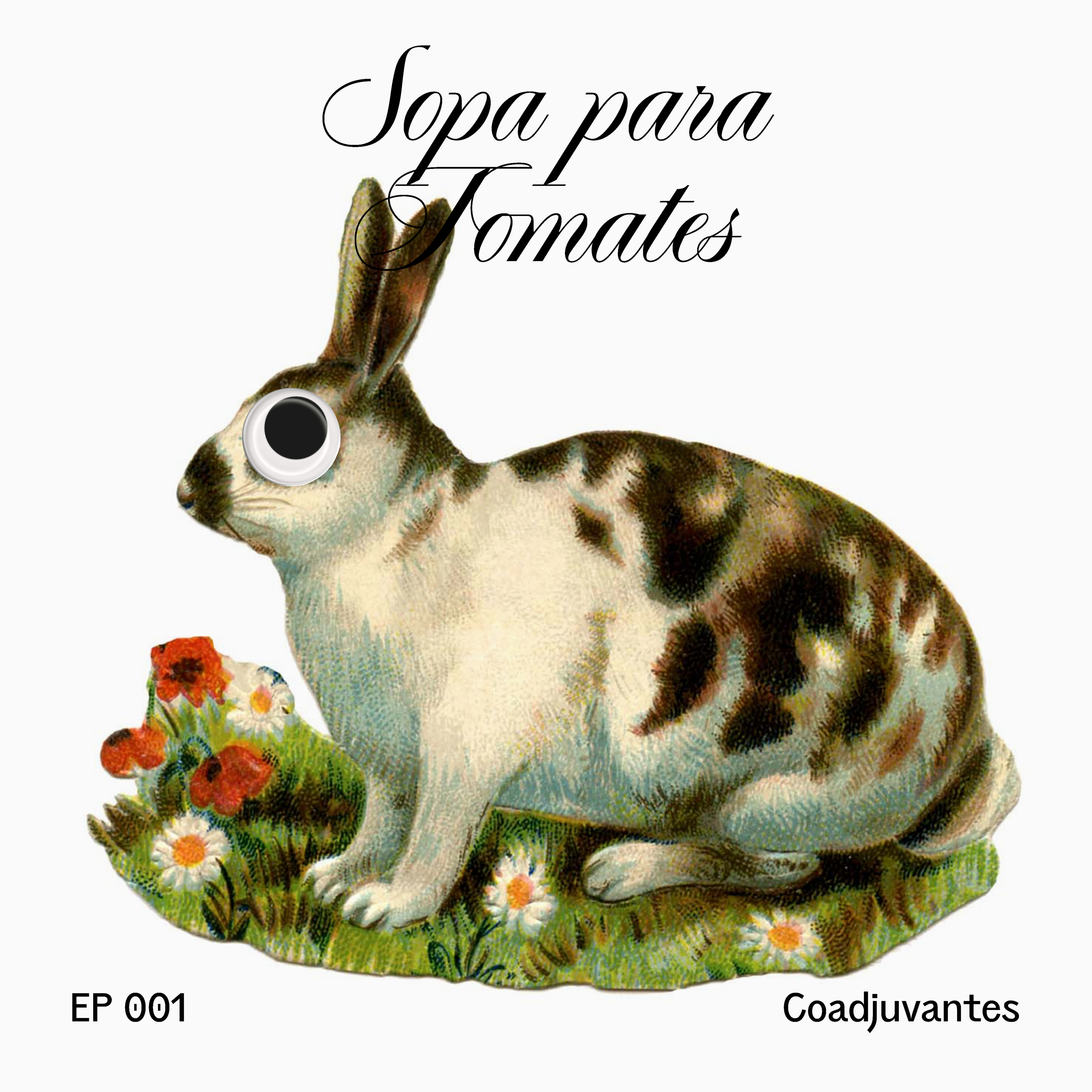 sopa para tomates #1 - coadjuvantes episode artwork