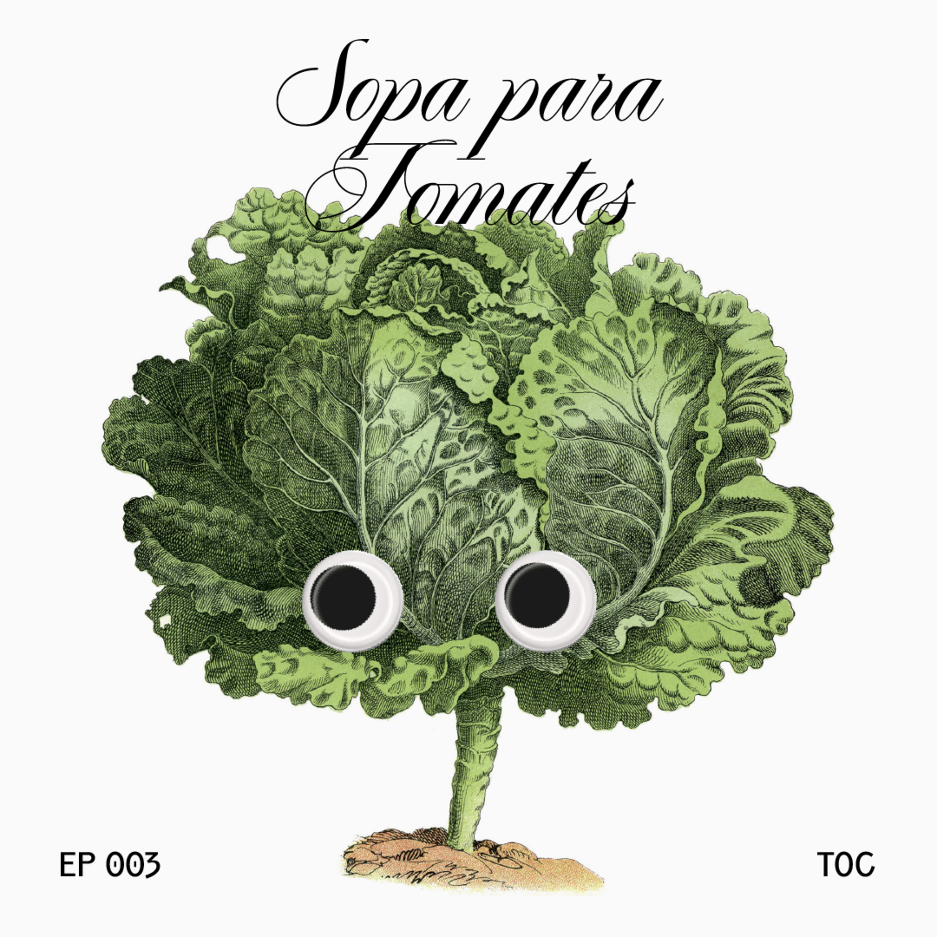sopa para tomates #3 - toc episode artwork