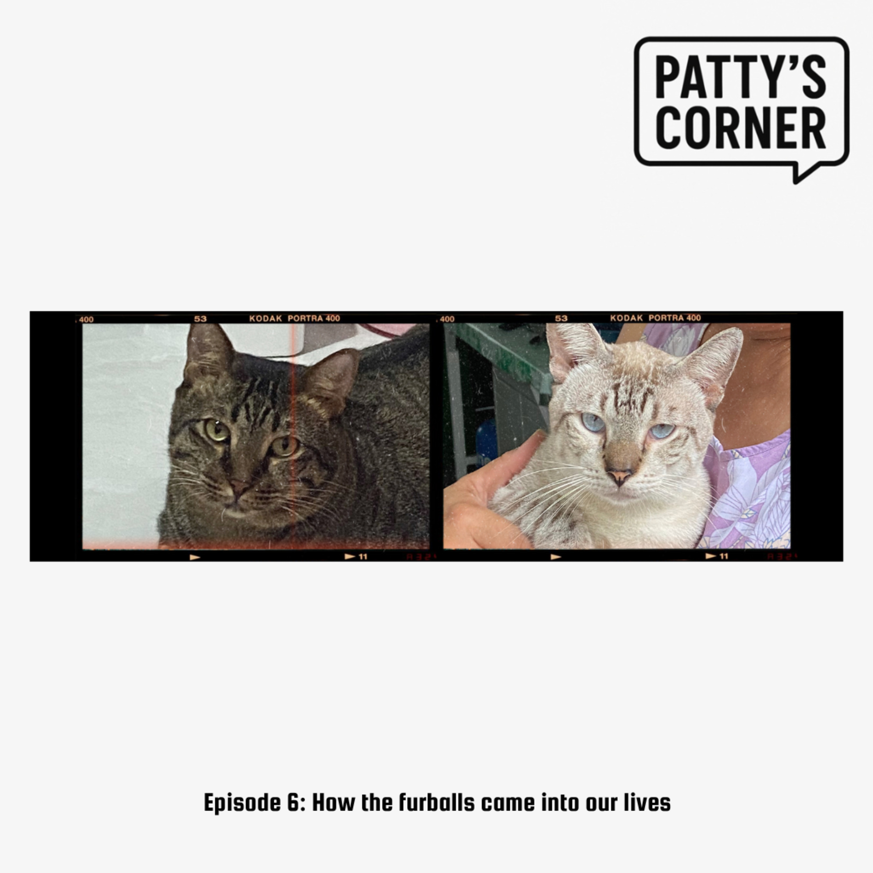 Patty\'s Corner