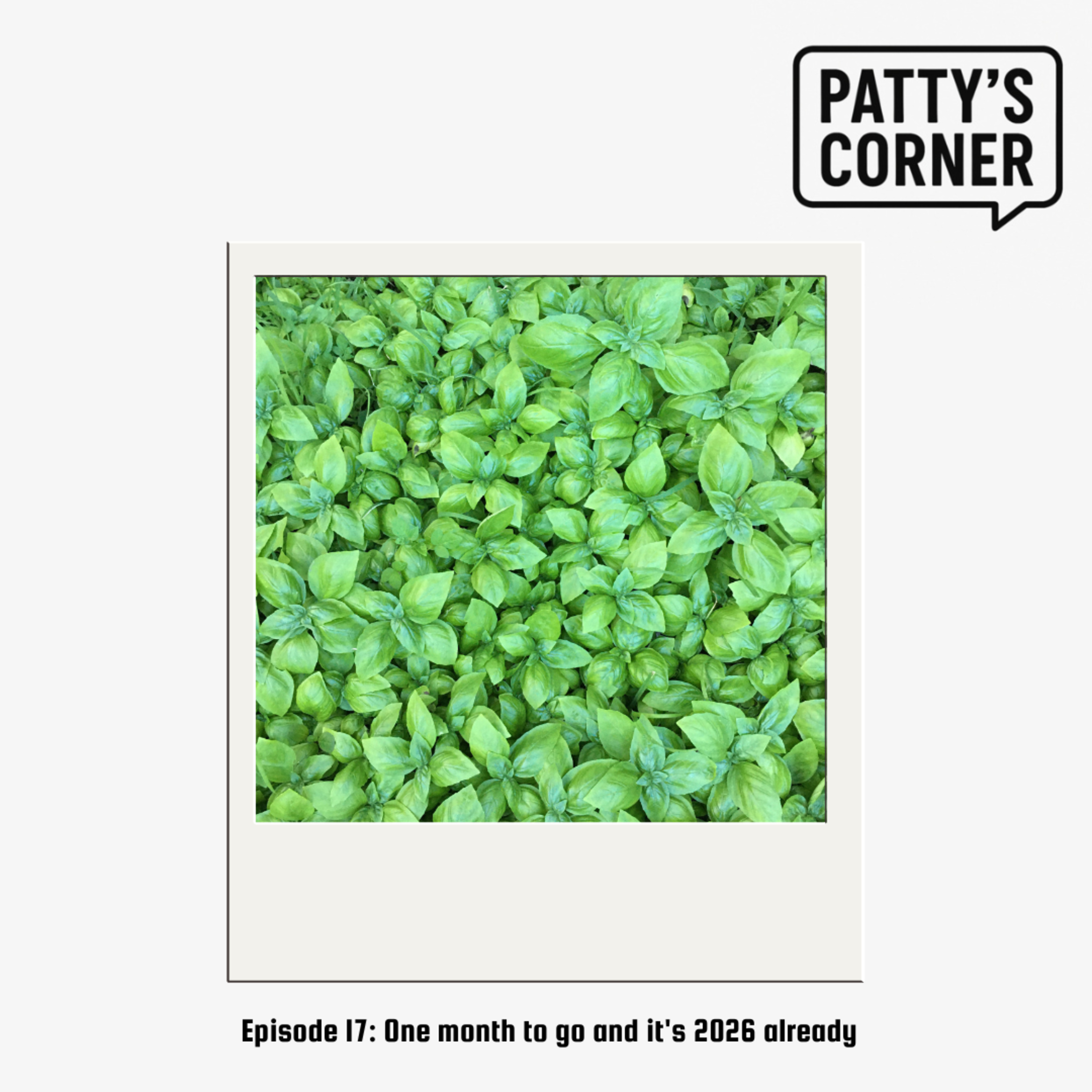 Patty\'s Corner