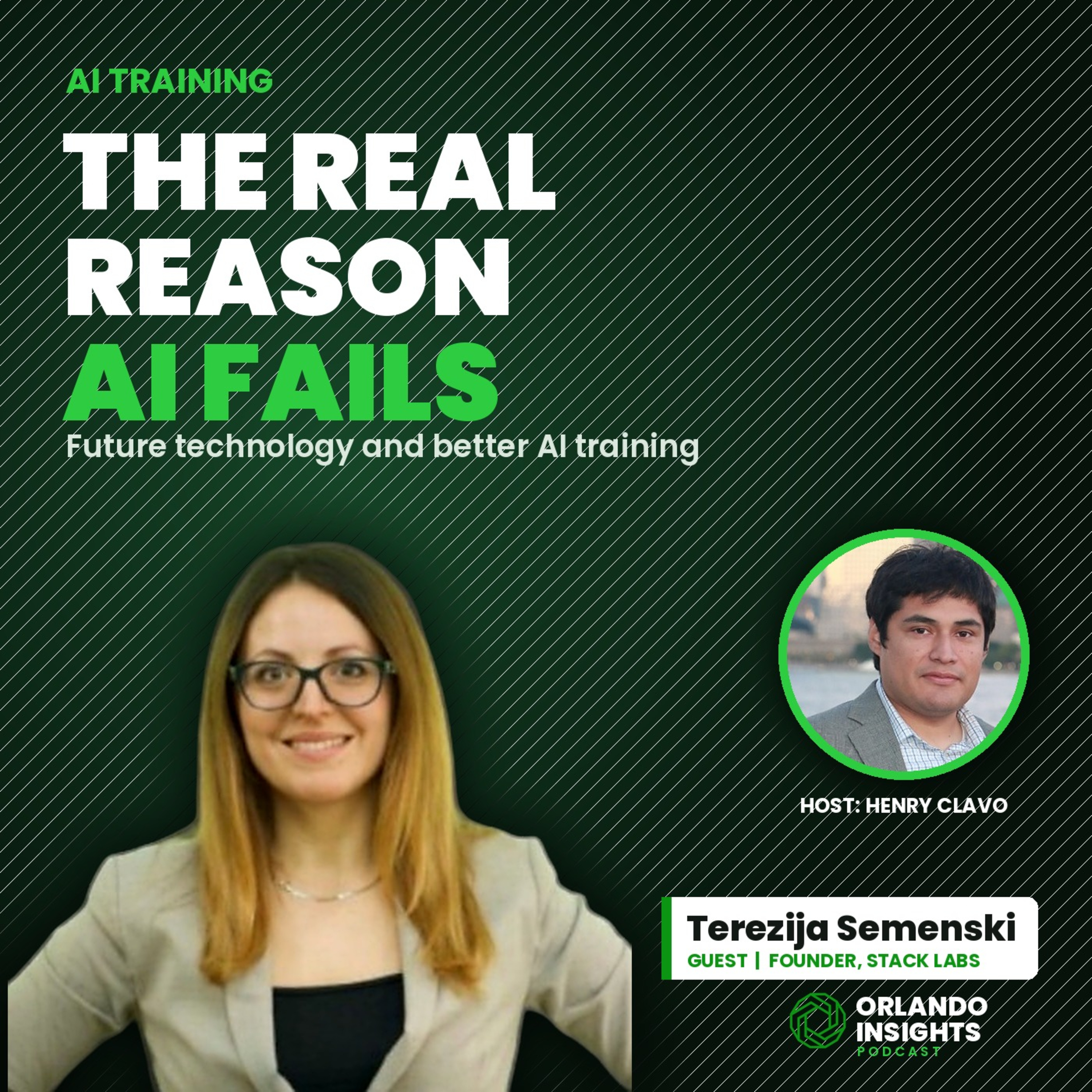 Why AI Projects Fail to Deliver ROI | Terezija Semenski