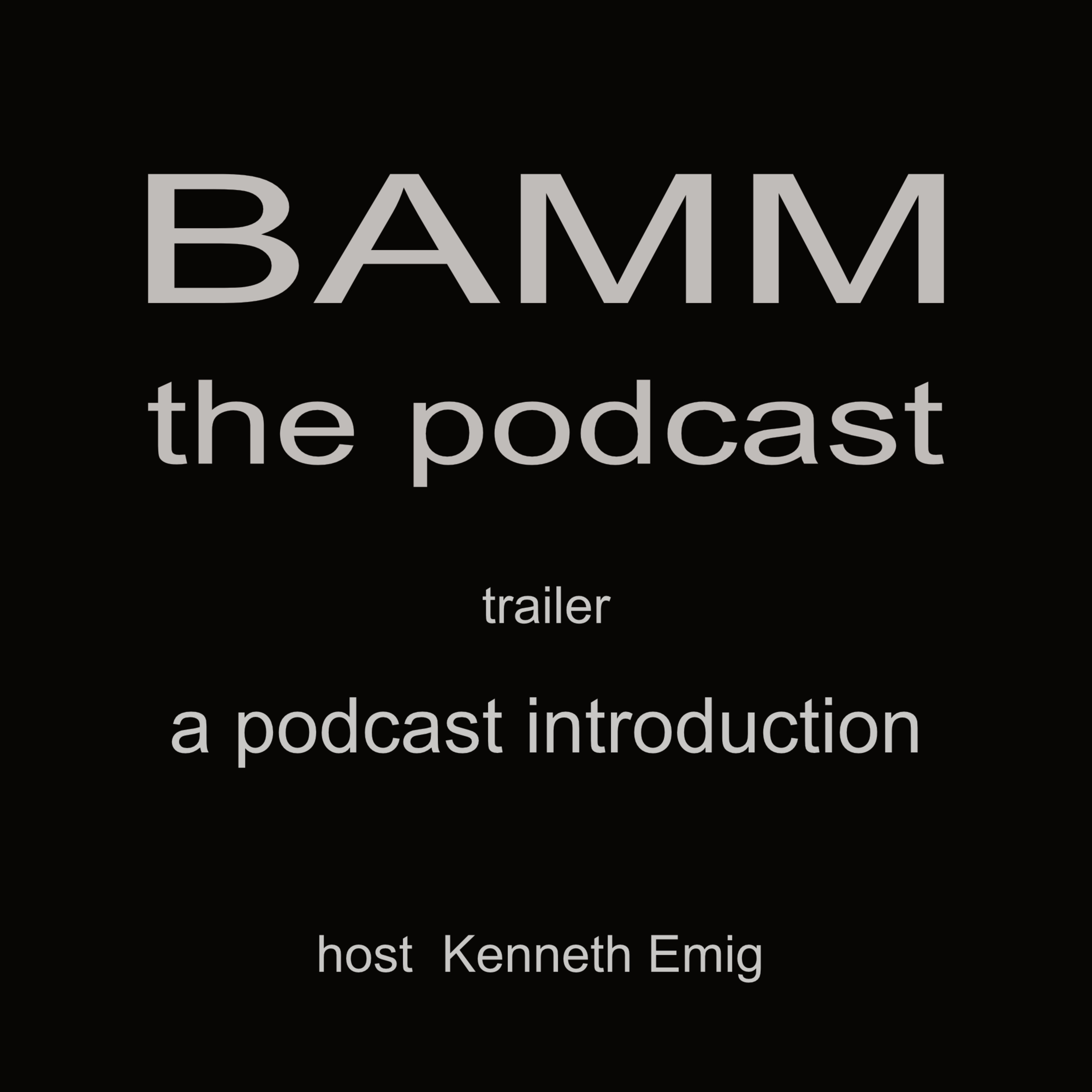 An Introduction to BAMM - Building Access in Music Making - the Podcast episode artwork