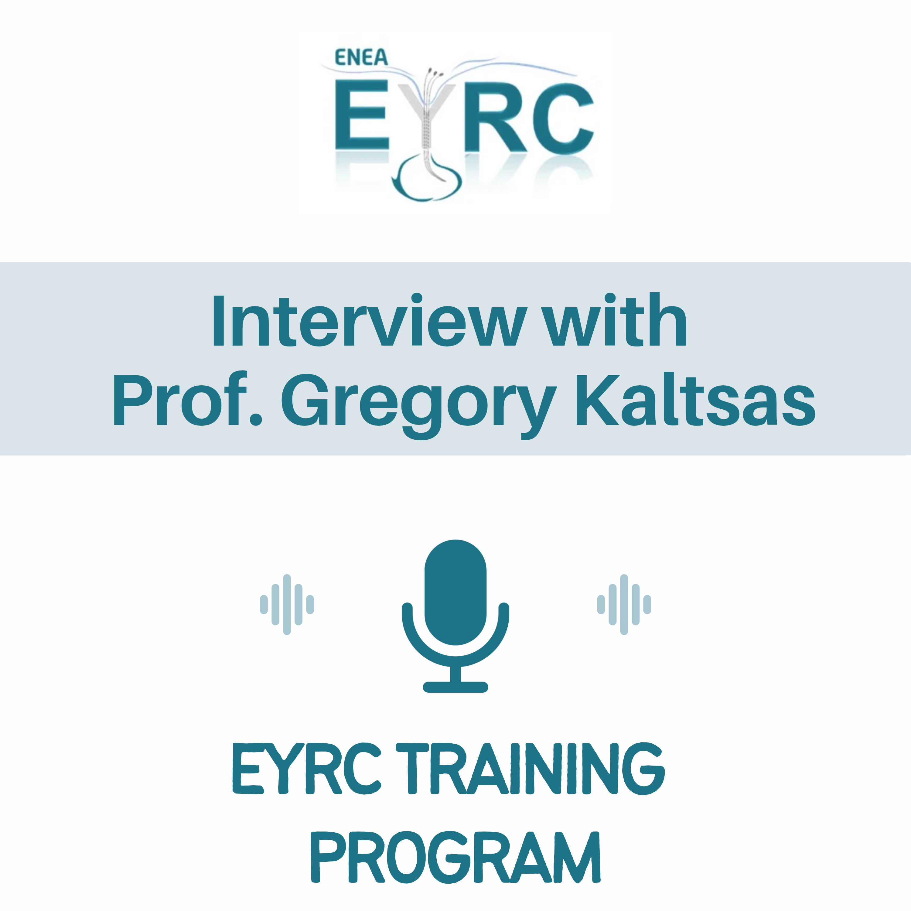 Artwork for ENEA Young Researchers Committee Training Program
