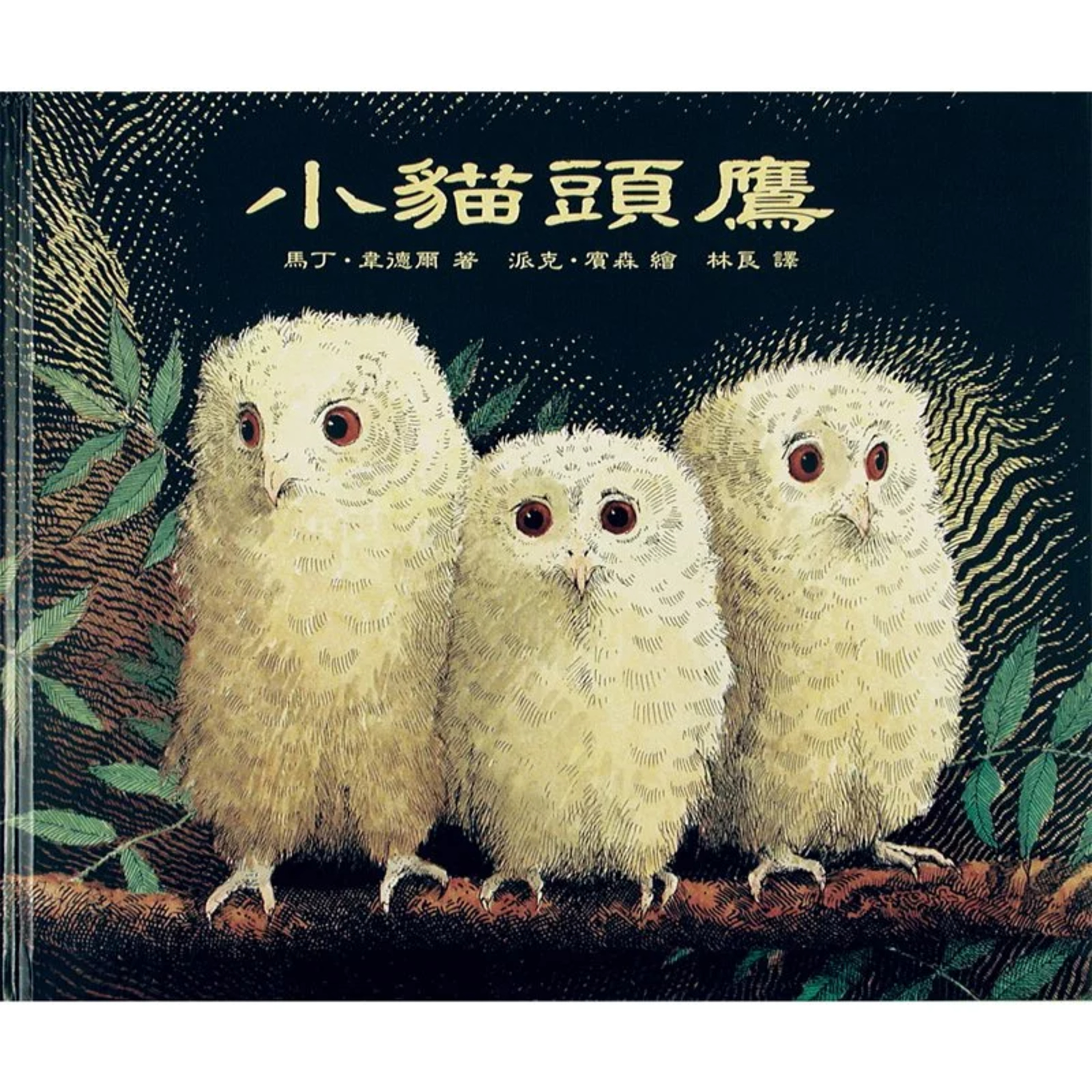 EP15-小貓頭鷹 episode artwork