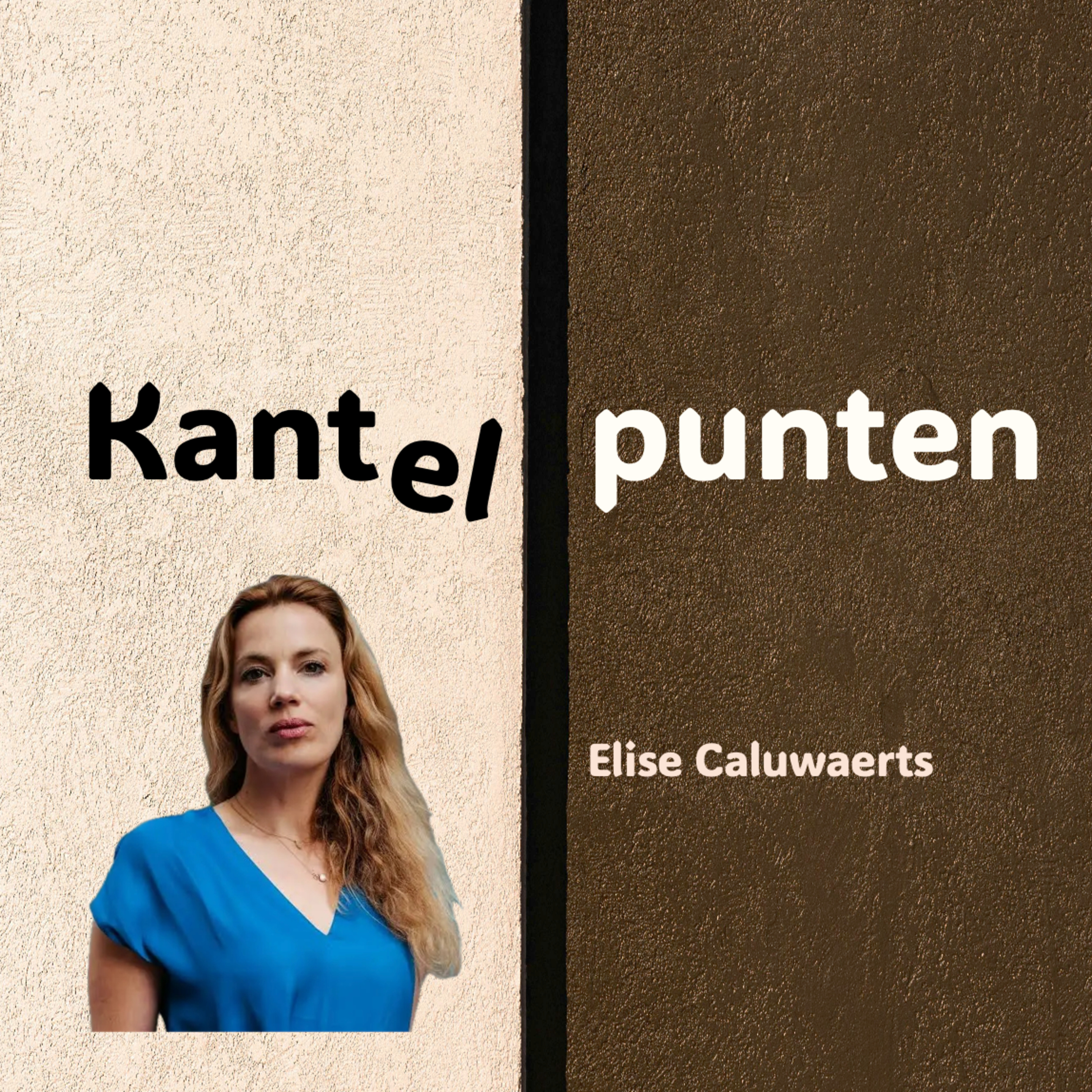 Kantelpunten