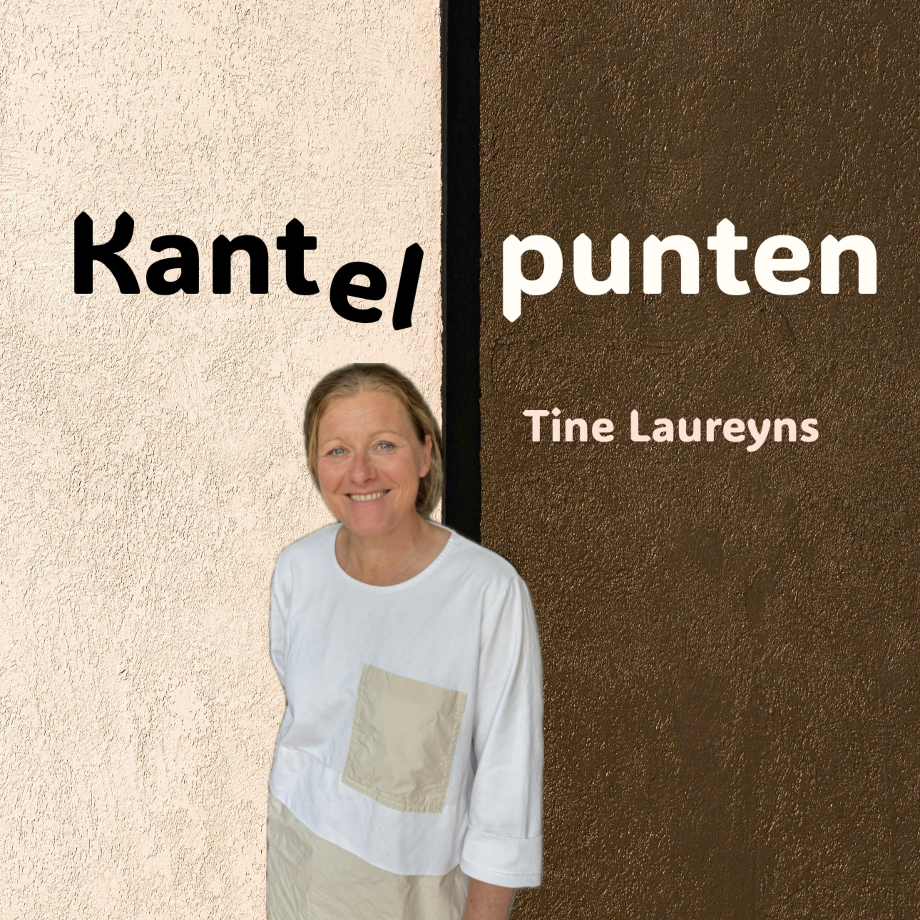 Kantelpunten