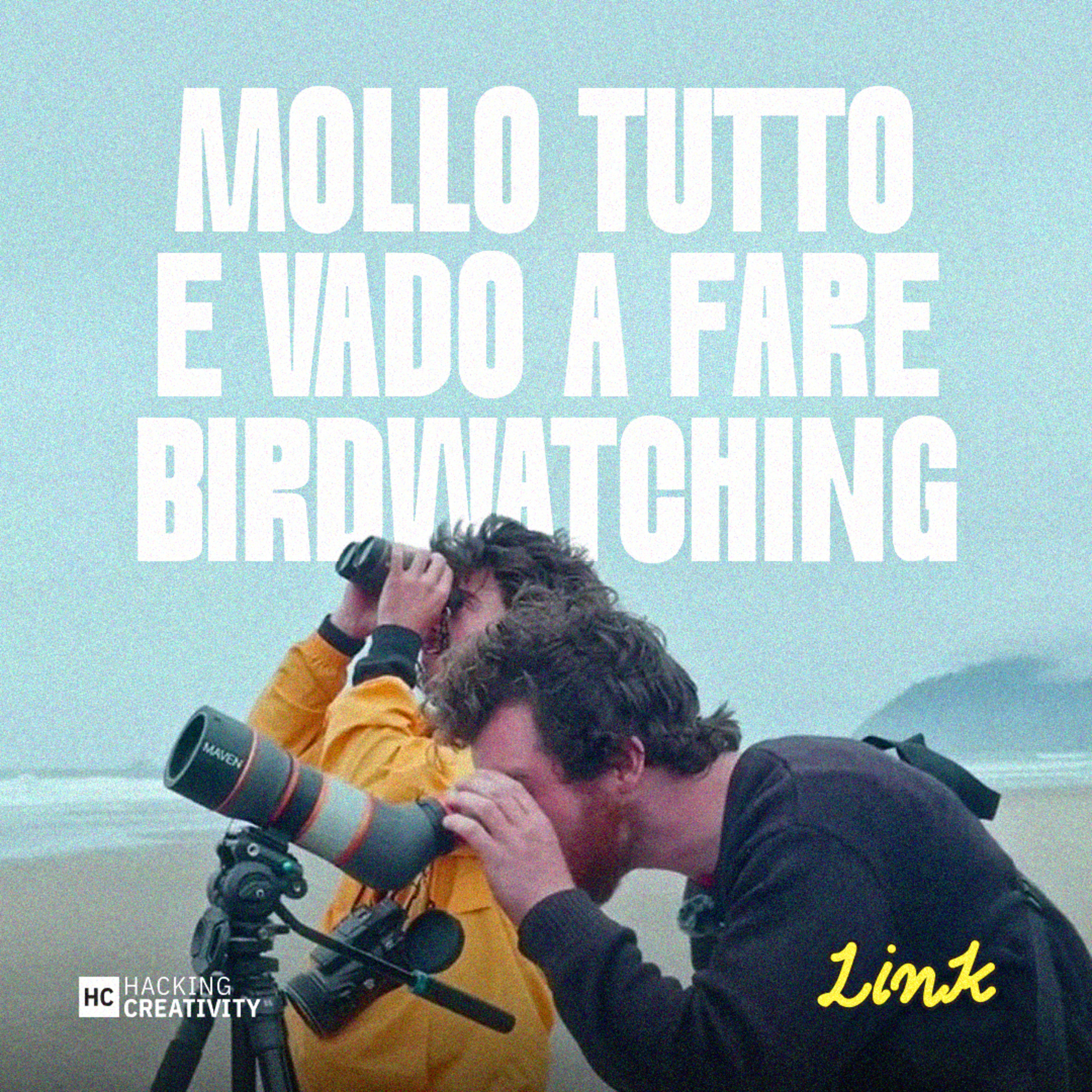 411 - Mollo tutto e vado a fare birdwatching